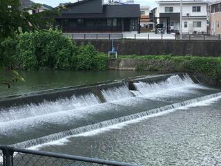 一粒茶屋 すいしゃのクチコミ写真3