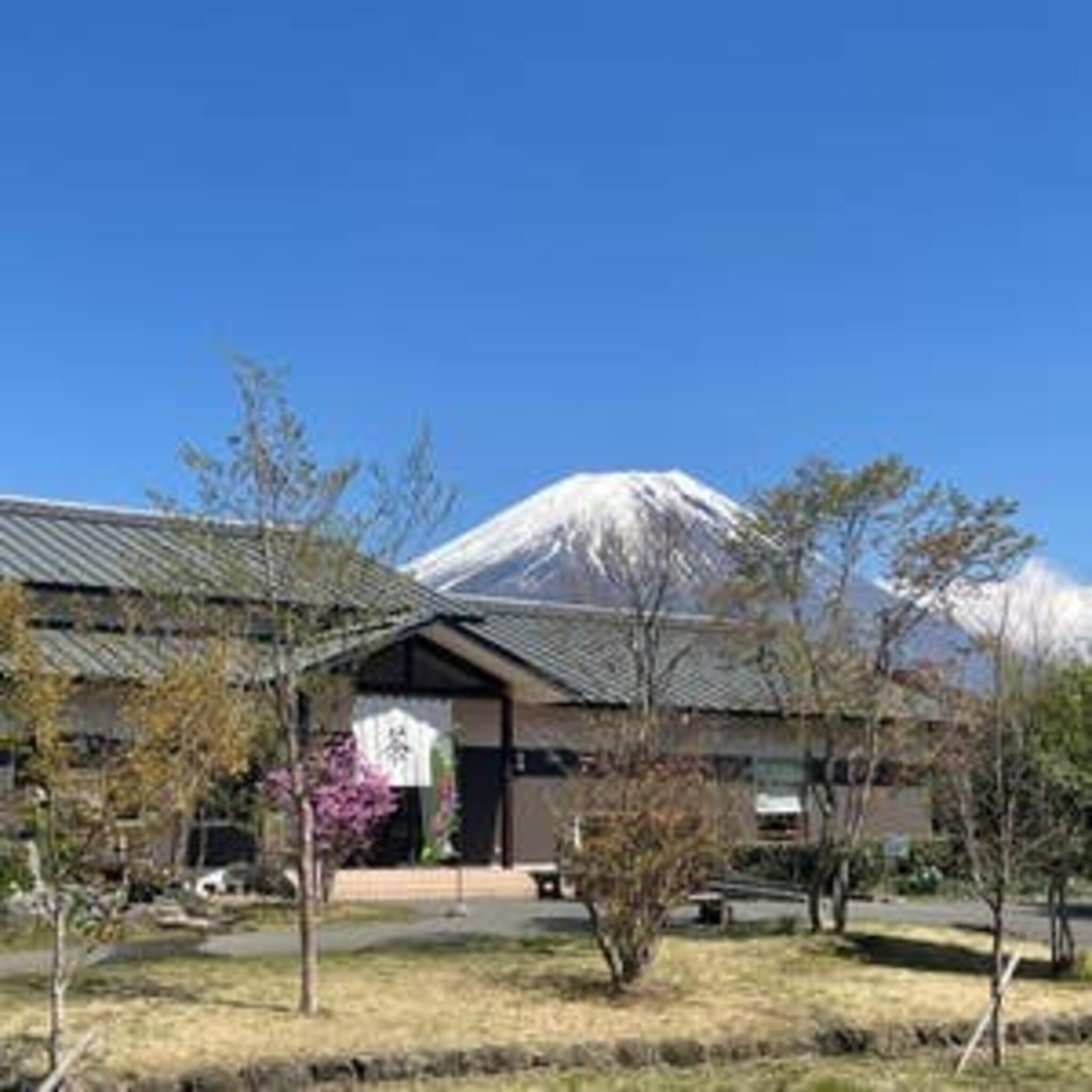 お茶工房富士園の代表写真9