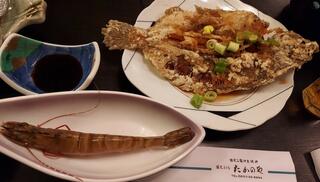 伊良湖岬地魚の宿 たかのやのクチコミ写真1