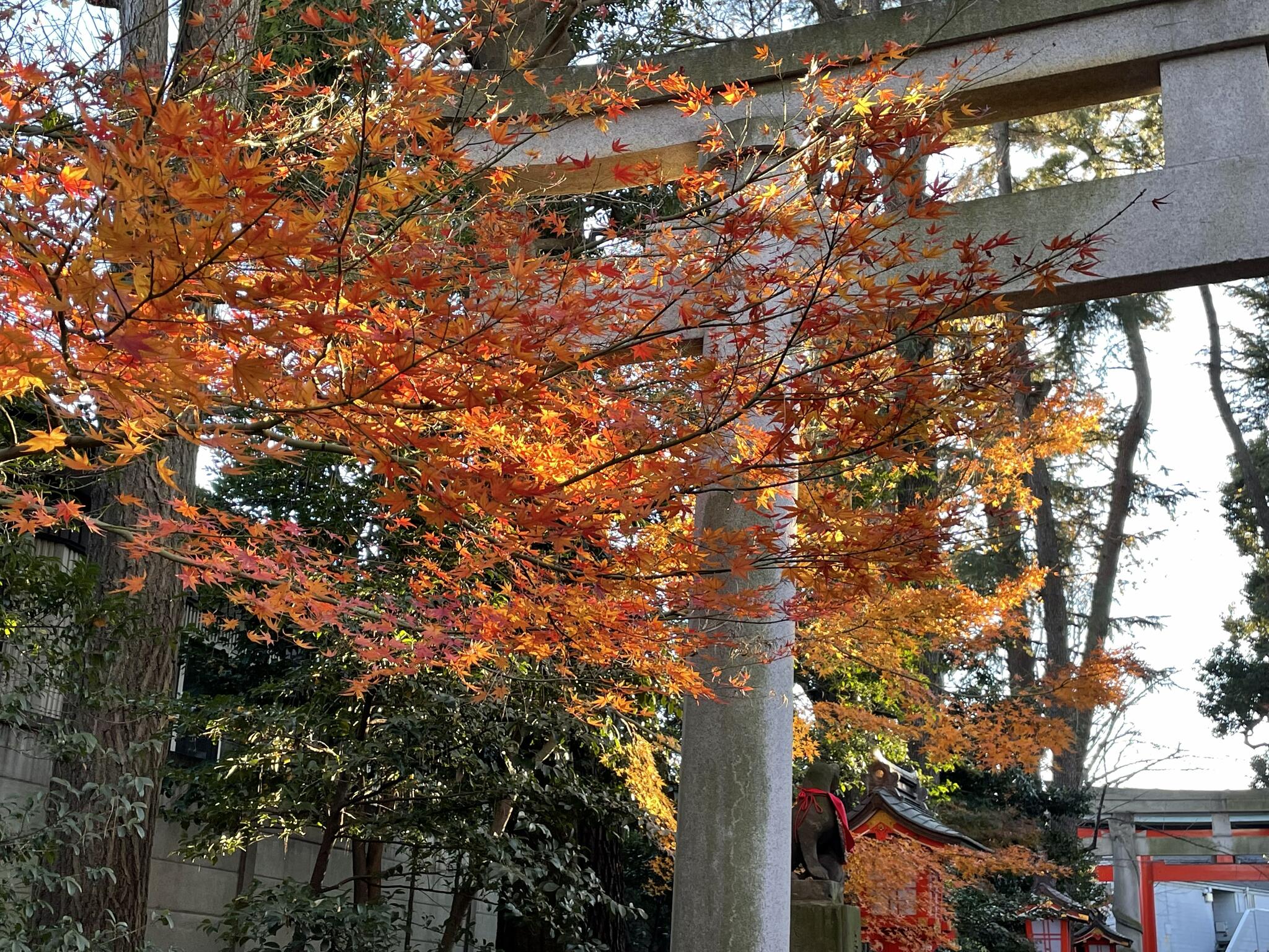 馬橋稲荷神社の代表写真9