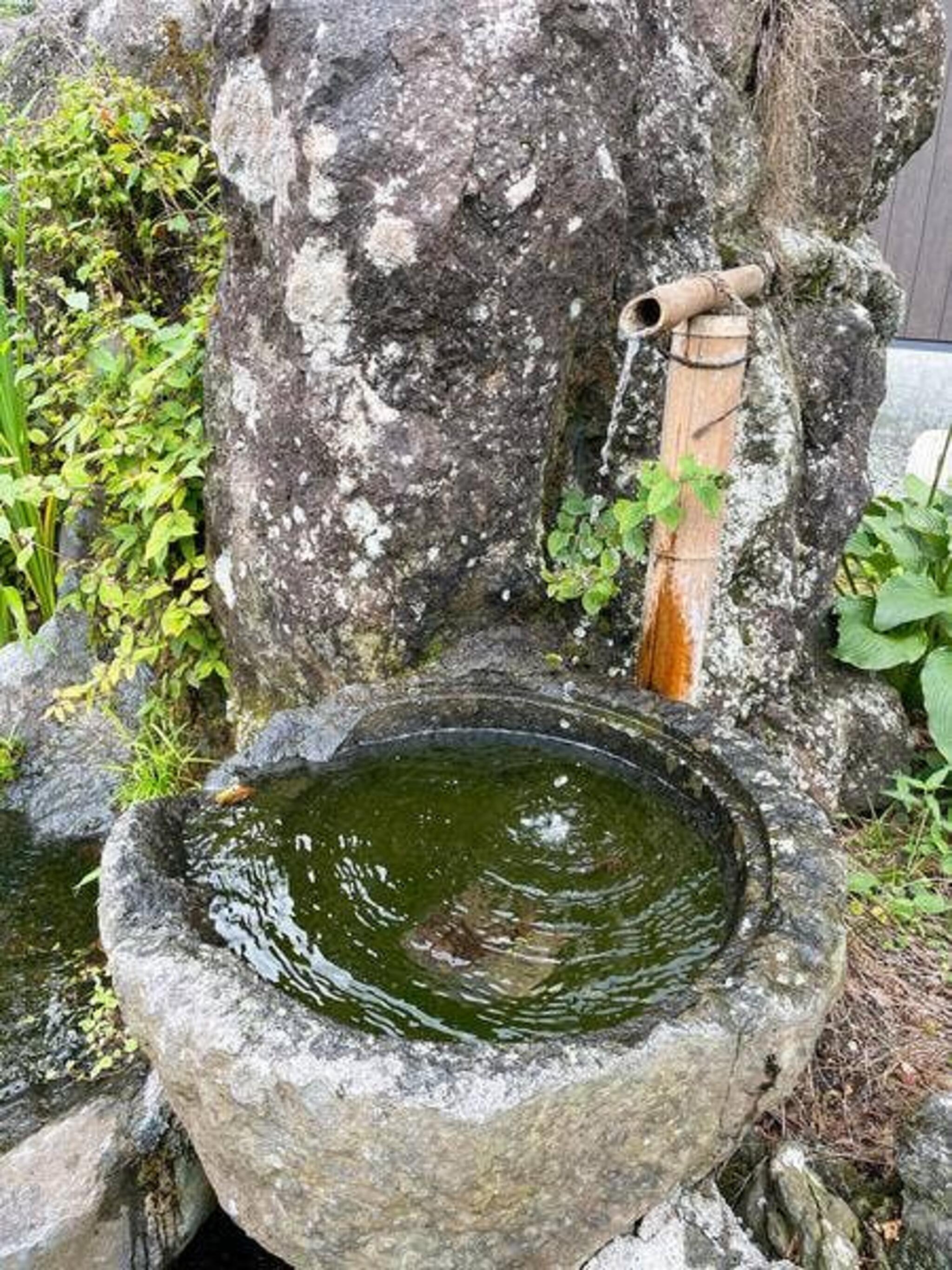 お茶工房富士園の代表写真6