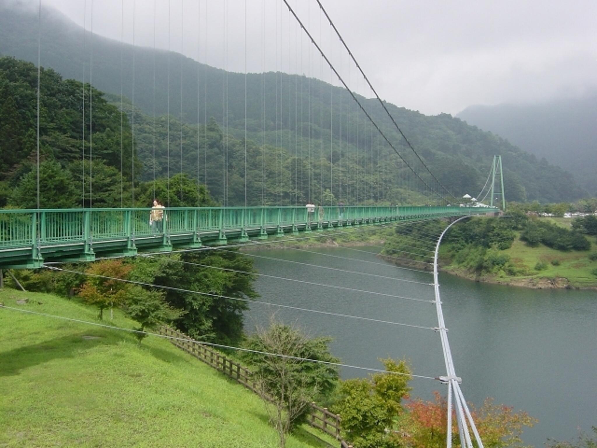 もみじ谷大吊橋の代表写真8