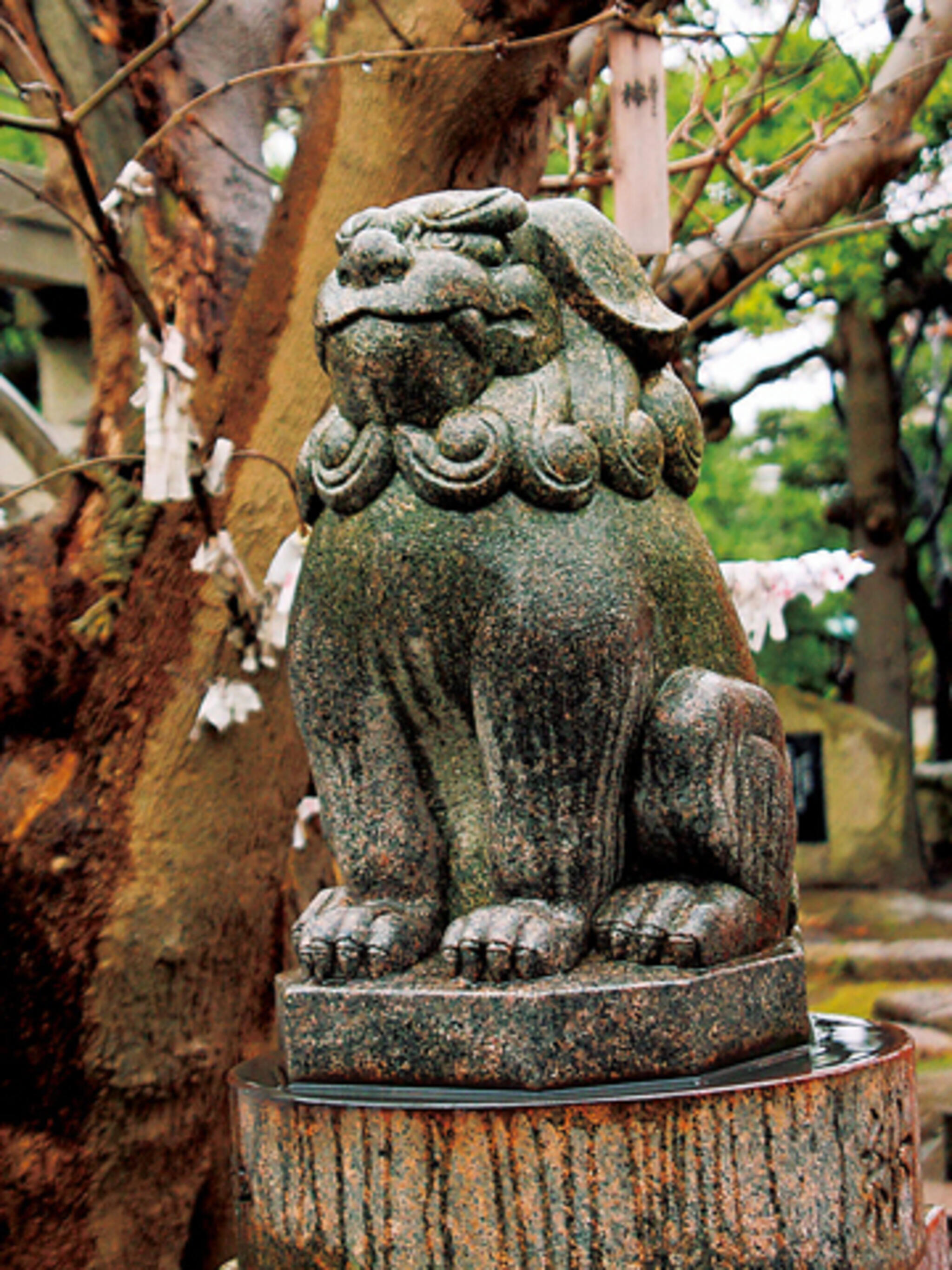湊稲荷神社の代表写真2