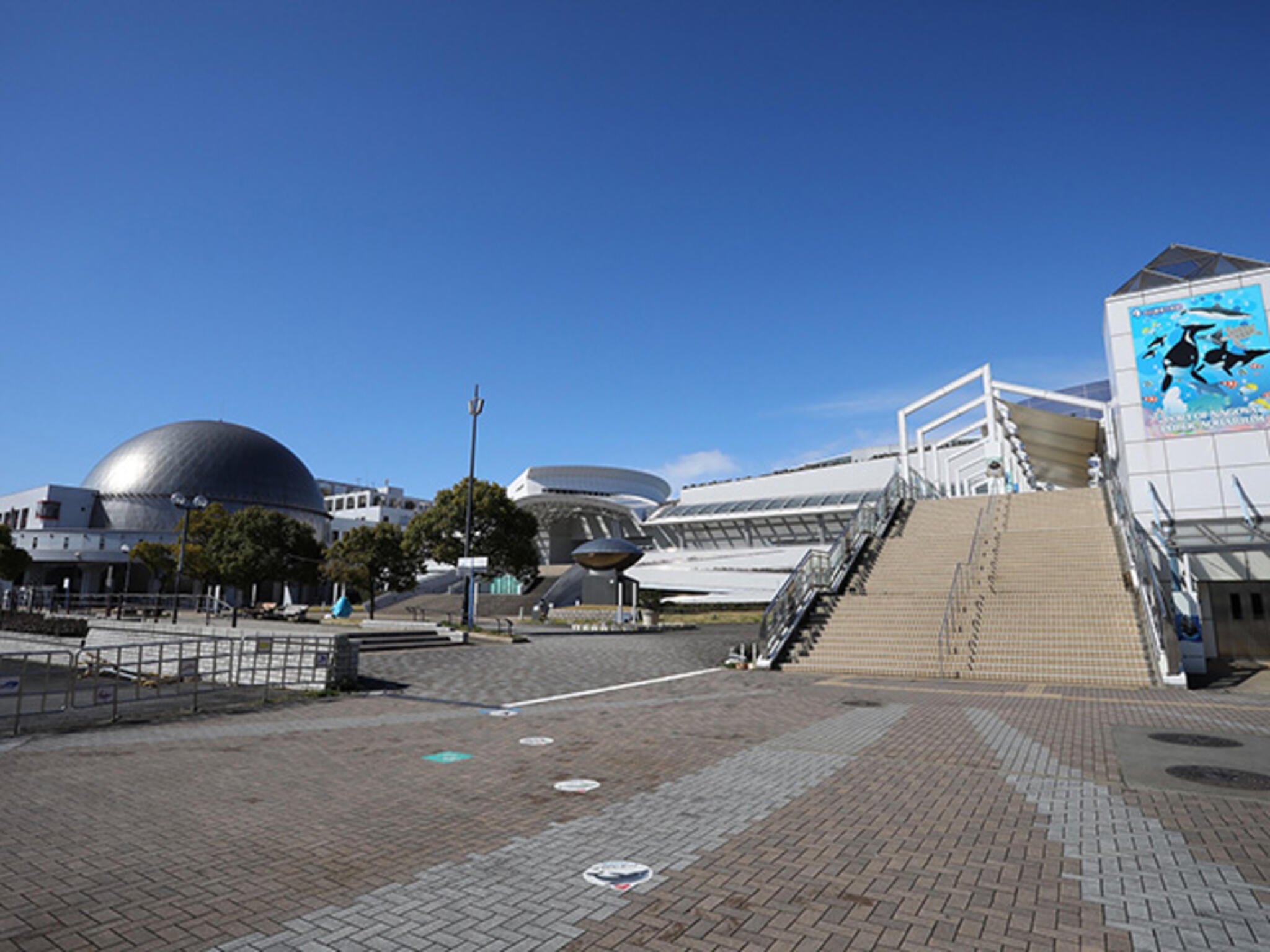 名古屋港水族館の代表写真1