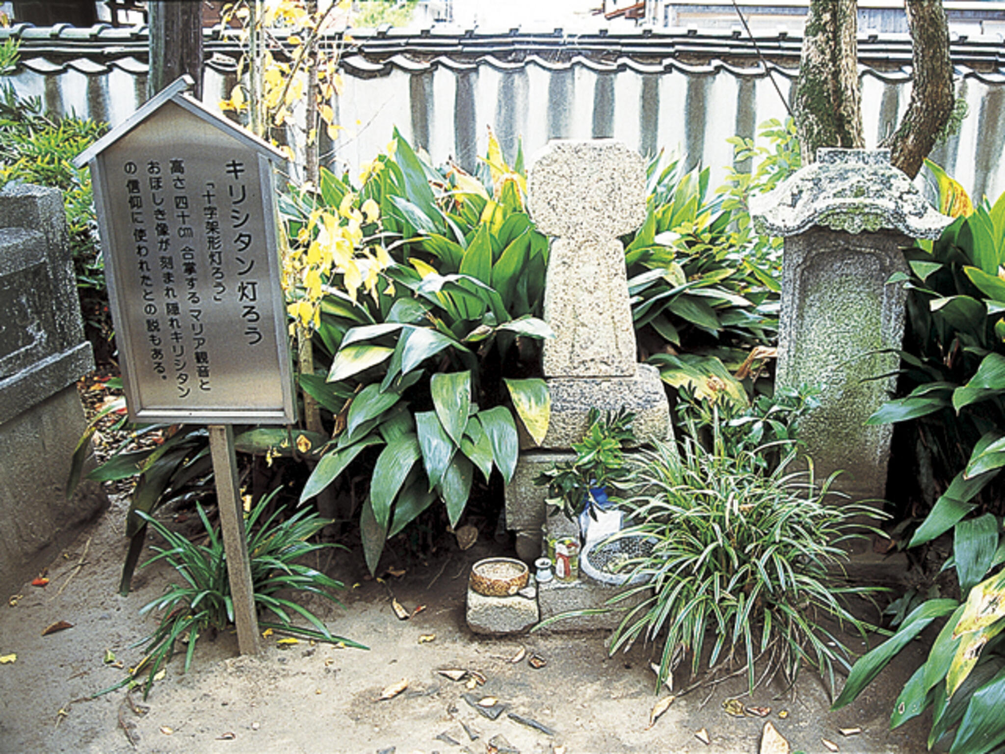 須賀山圓明寺の代表写真4