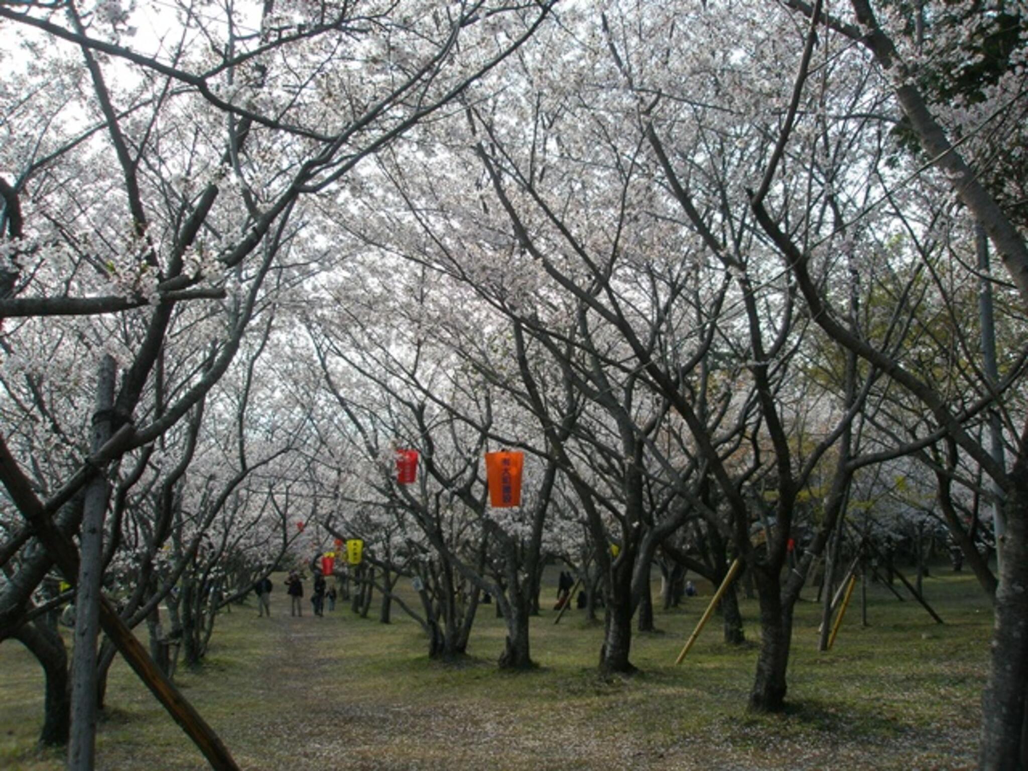 橘神社の代表写真3