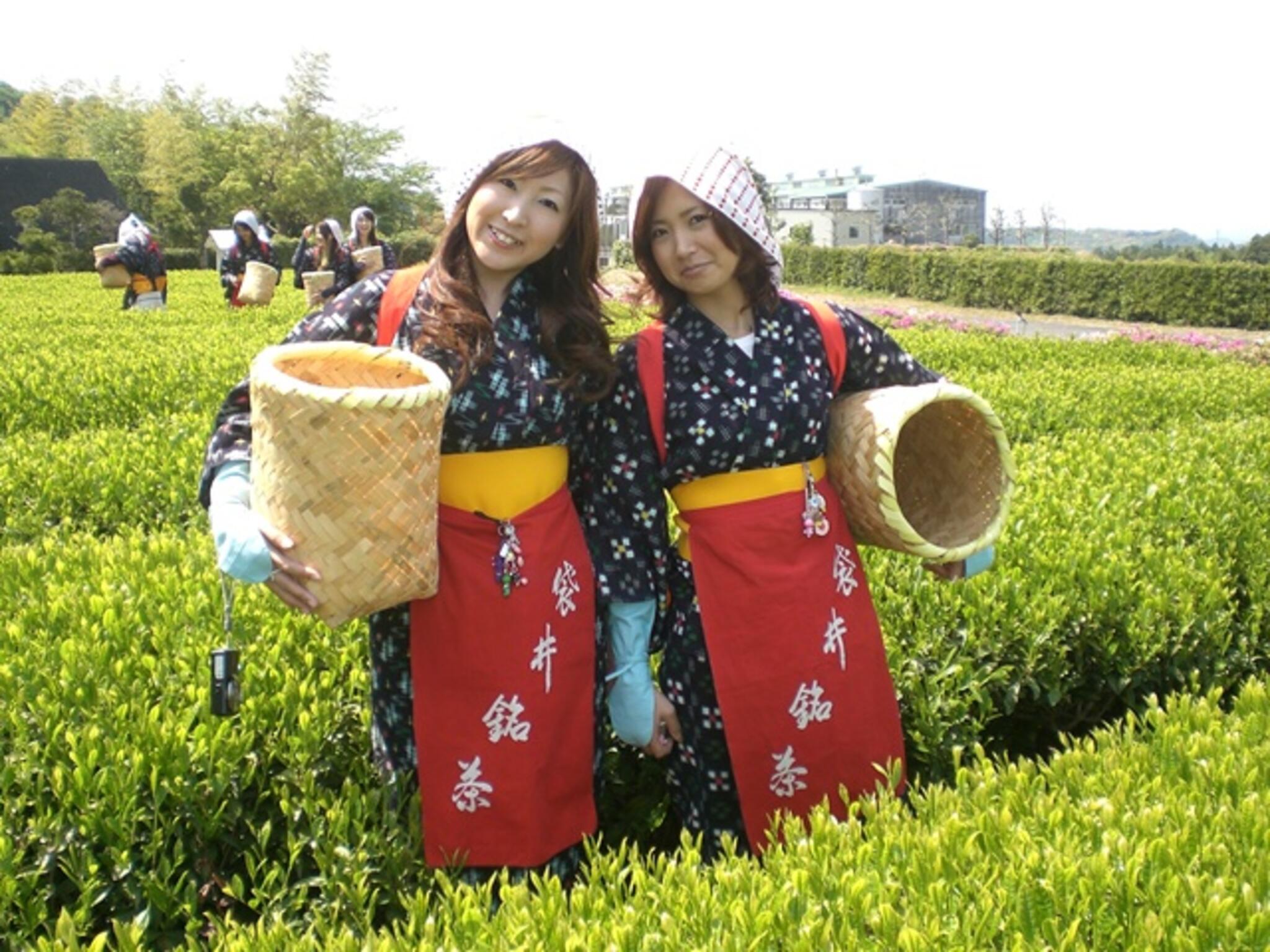 JA遠州中央 香りの丘茶ピアの代表写真1