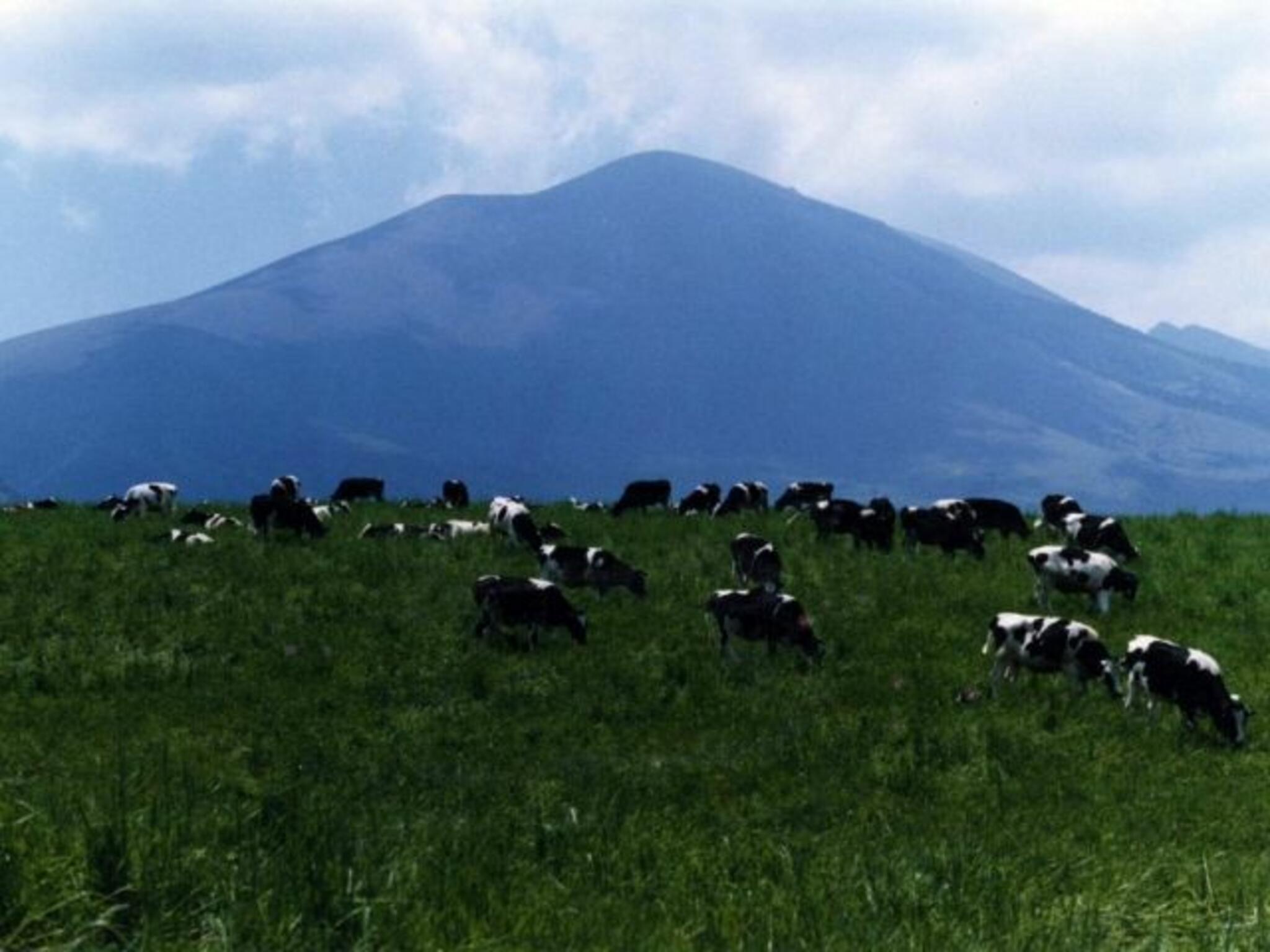 群馬県浅間家畜育成牧場の代表写真4