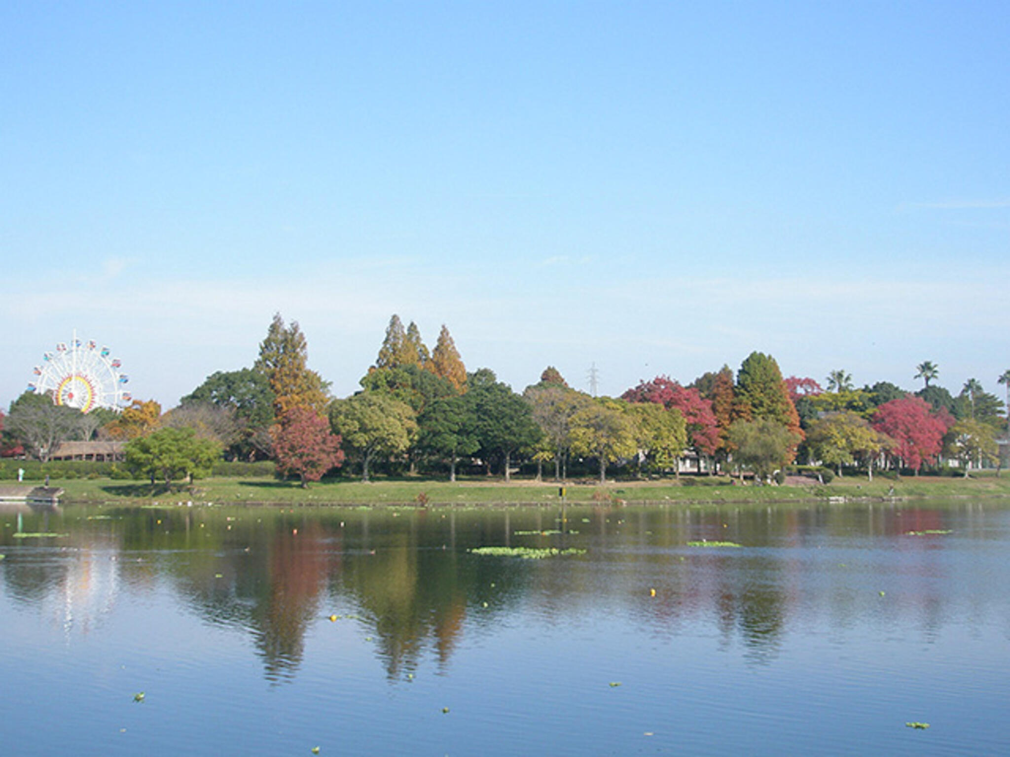 熊本市水前寺江津湖公園の代表写真3