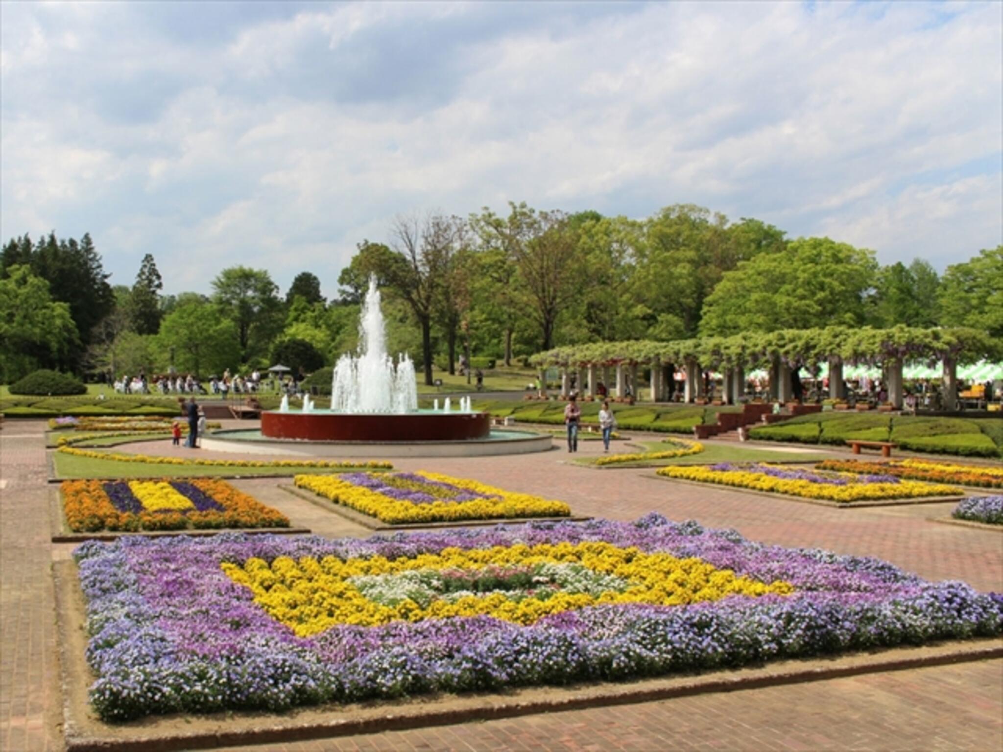 茨城県植物園の代表写真6
