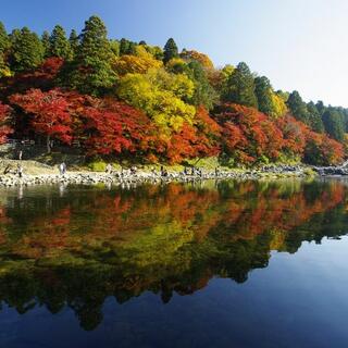 香嵐渓の写真5