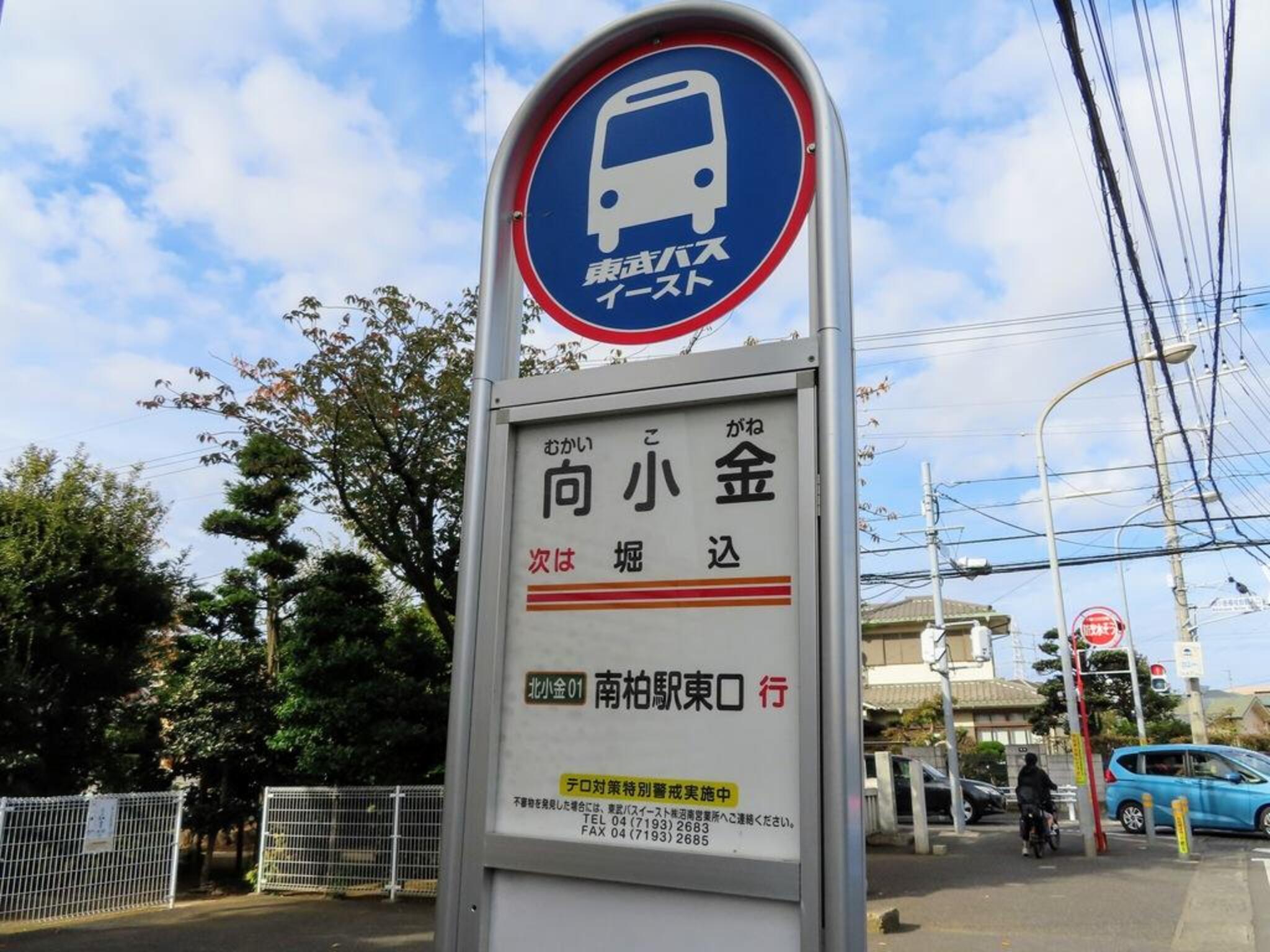 南柏 駅 セール 東口 バス