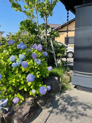 創作旬菜 紫陽花のクチコミ写真2