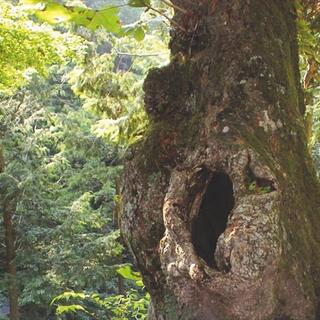 鳥居峠の写真6