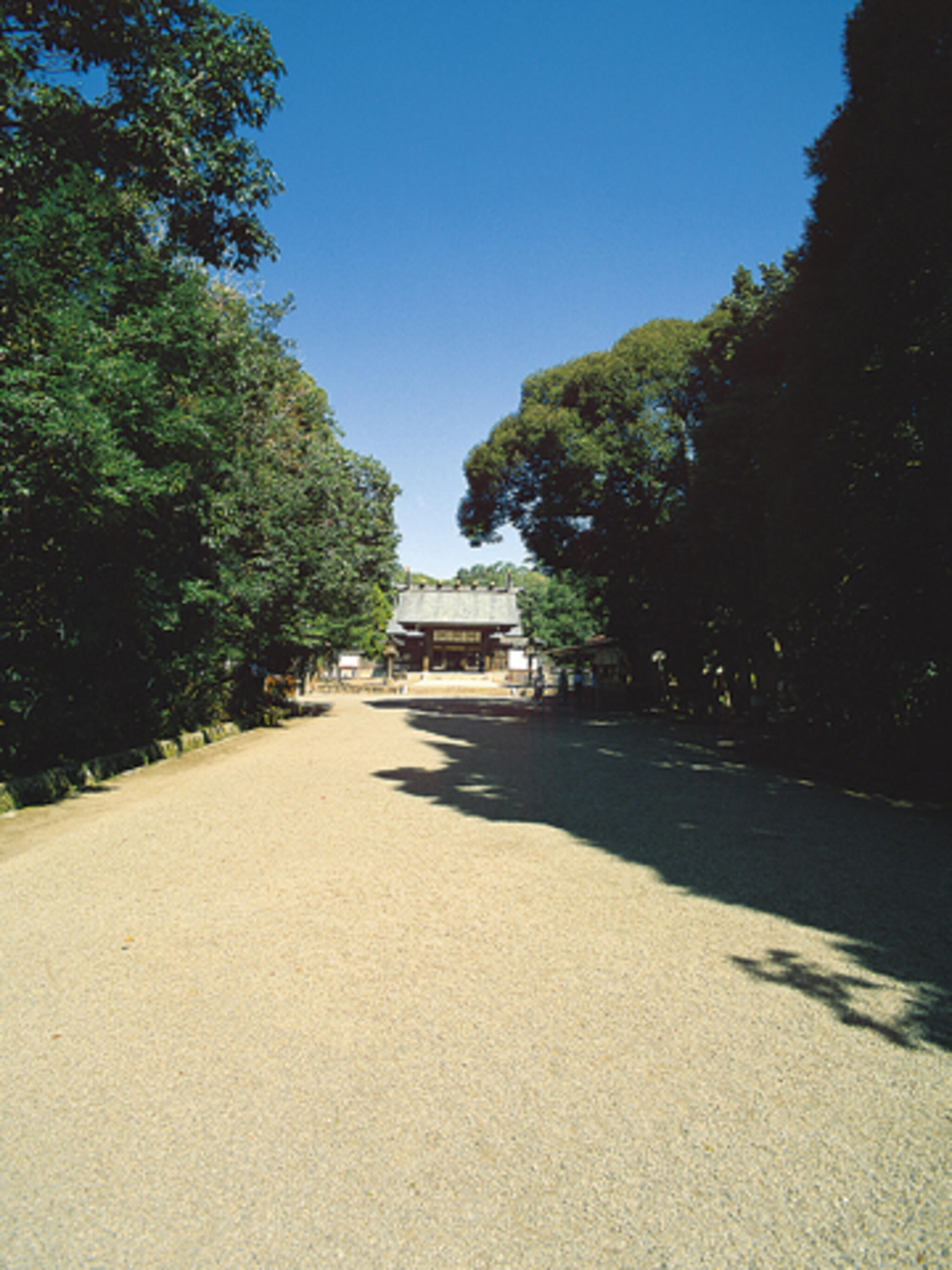 宮崎神宮の代表写真2