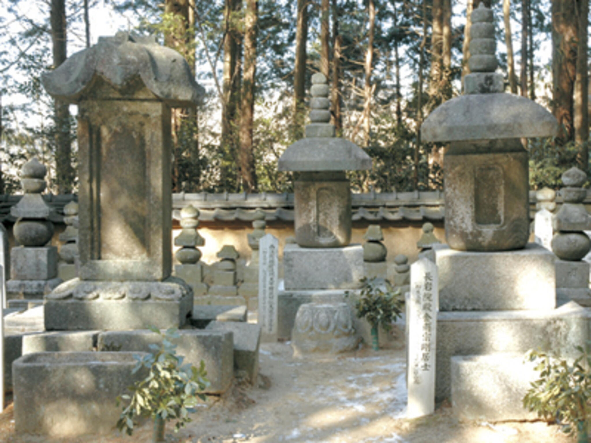 芳徳禅寺の代表写真2