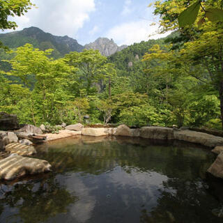 野の花山荘の写真3