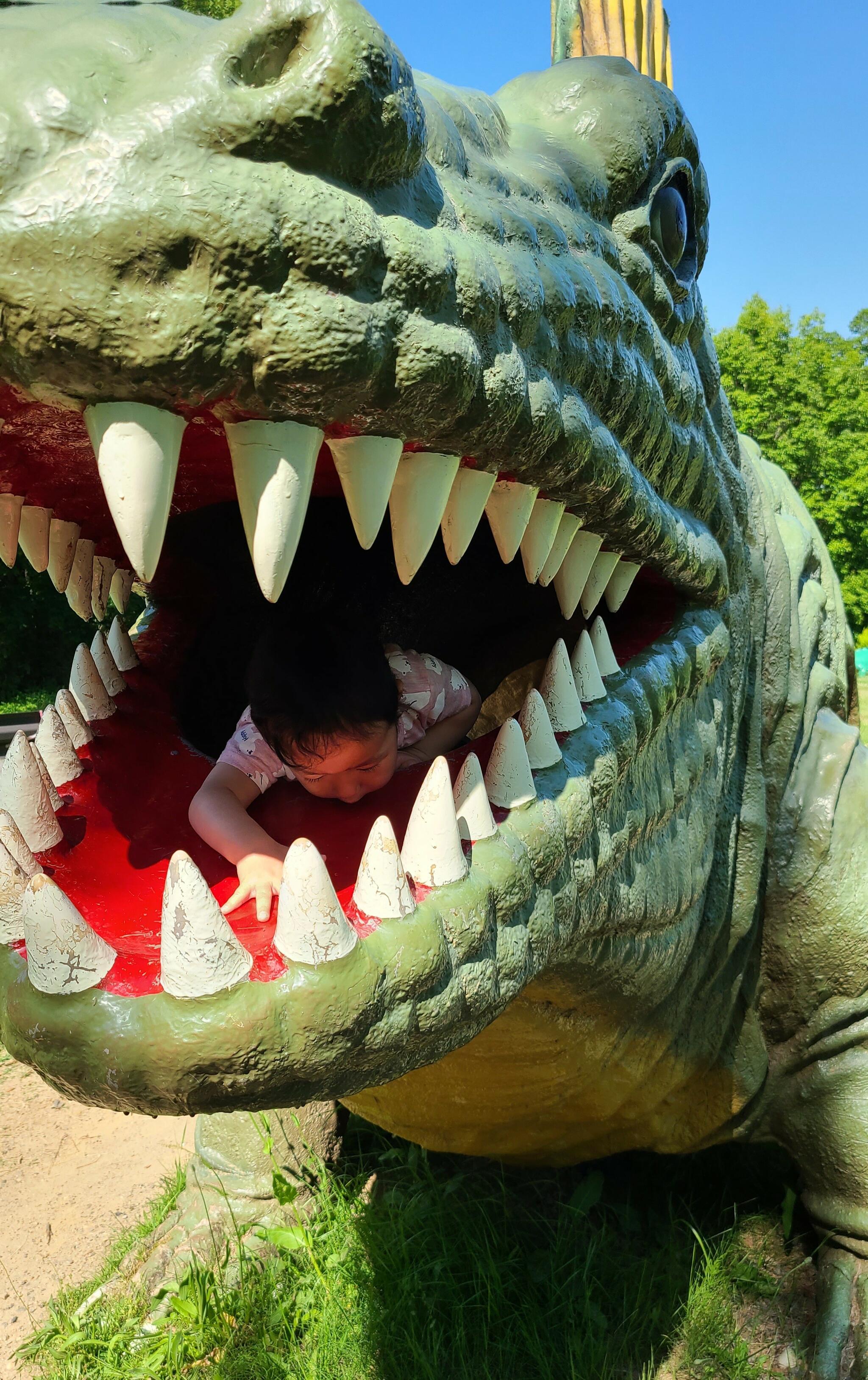 茶臼山恐竜公園の代表写真3