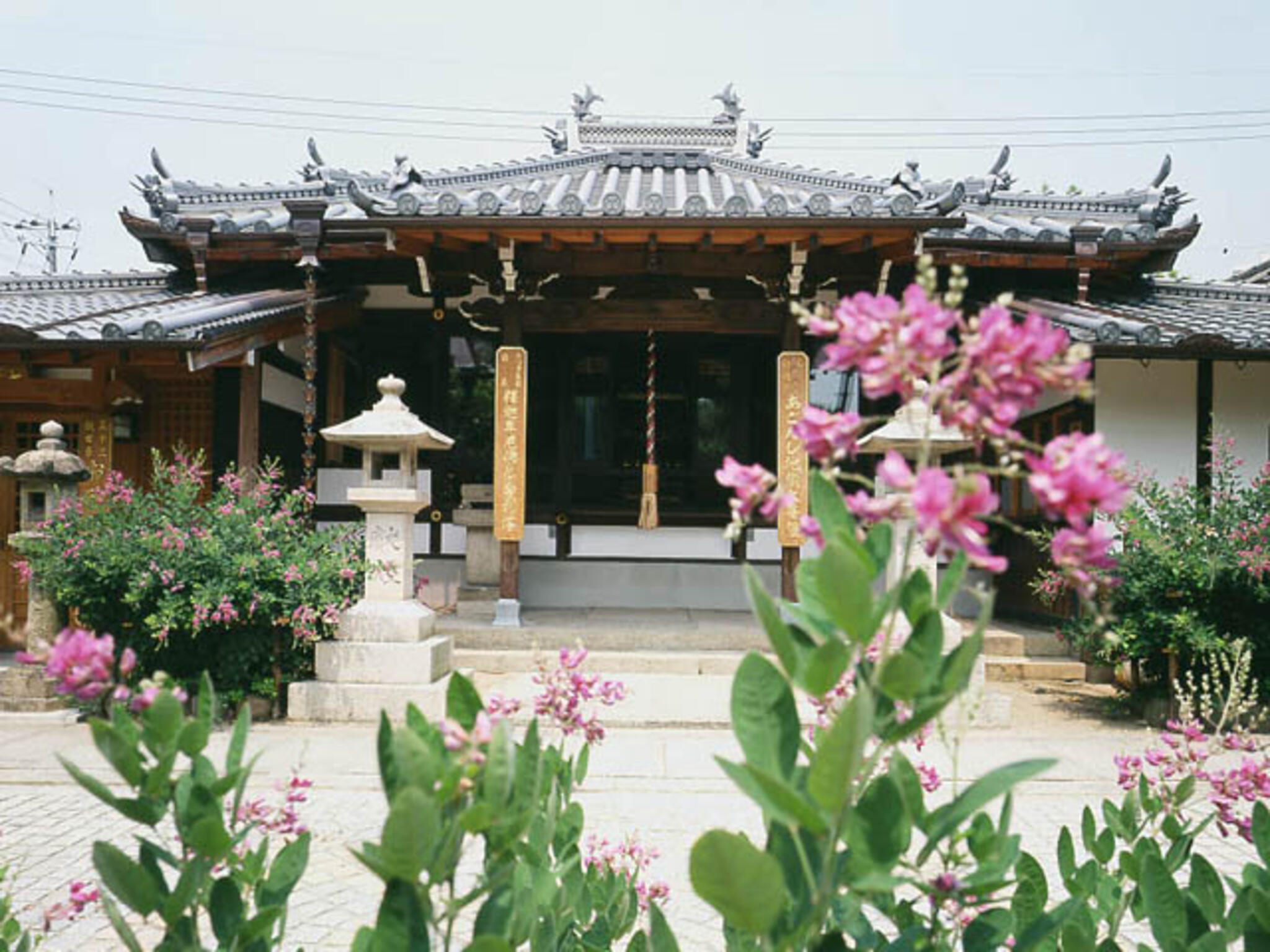 萩の寺東光院の代表写真5