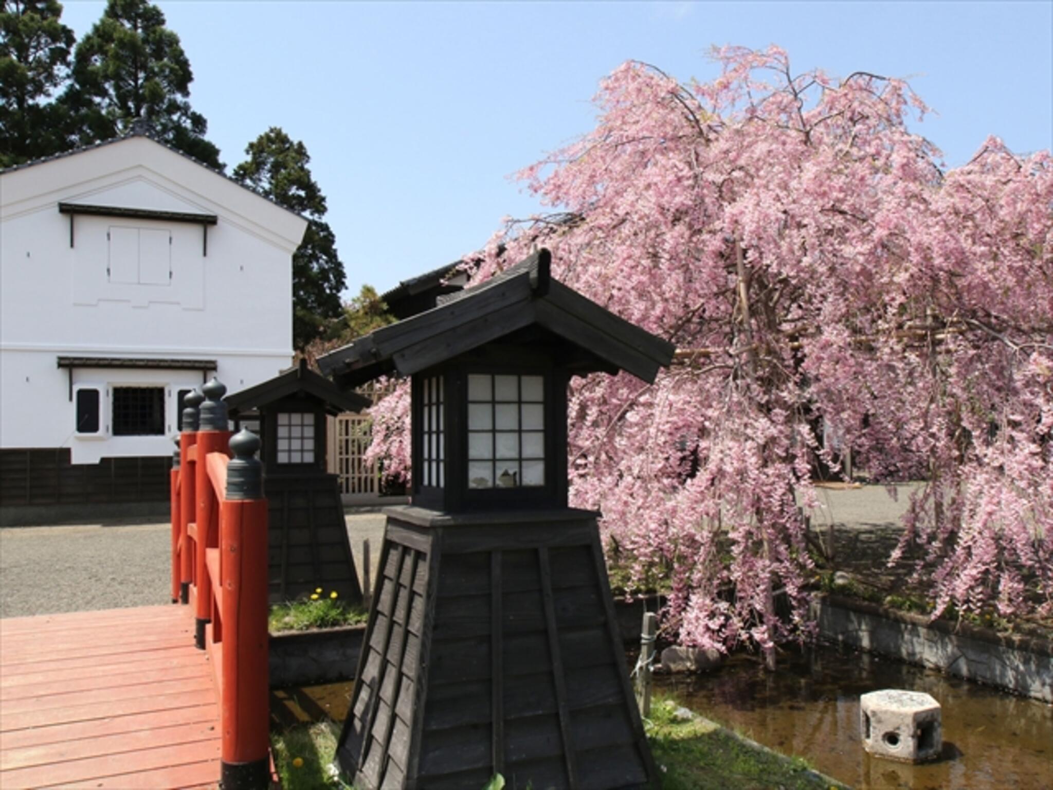 松前藩屋敷の代表写真3