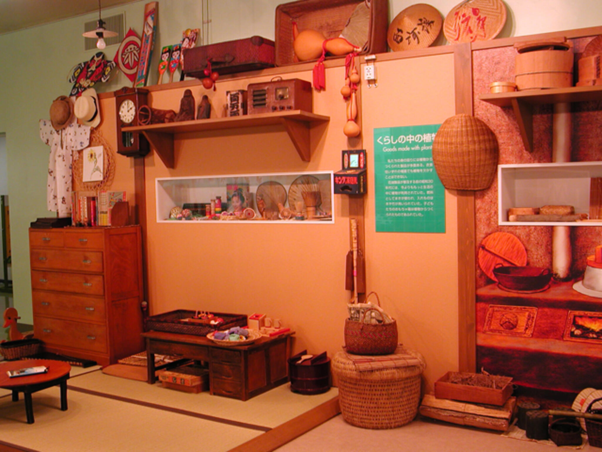 倉敷市立自然史博物館の代表写真10