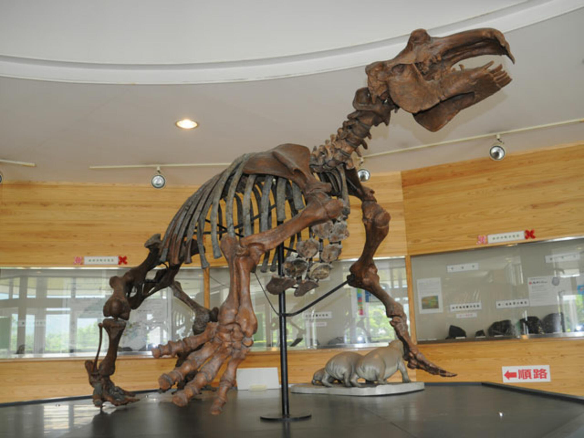 おがの化石館の代表写真3