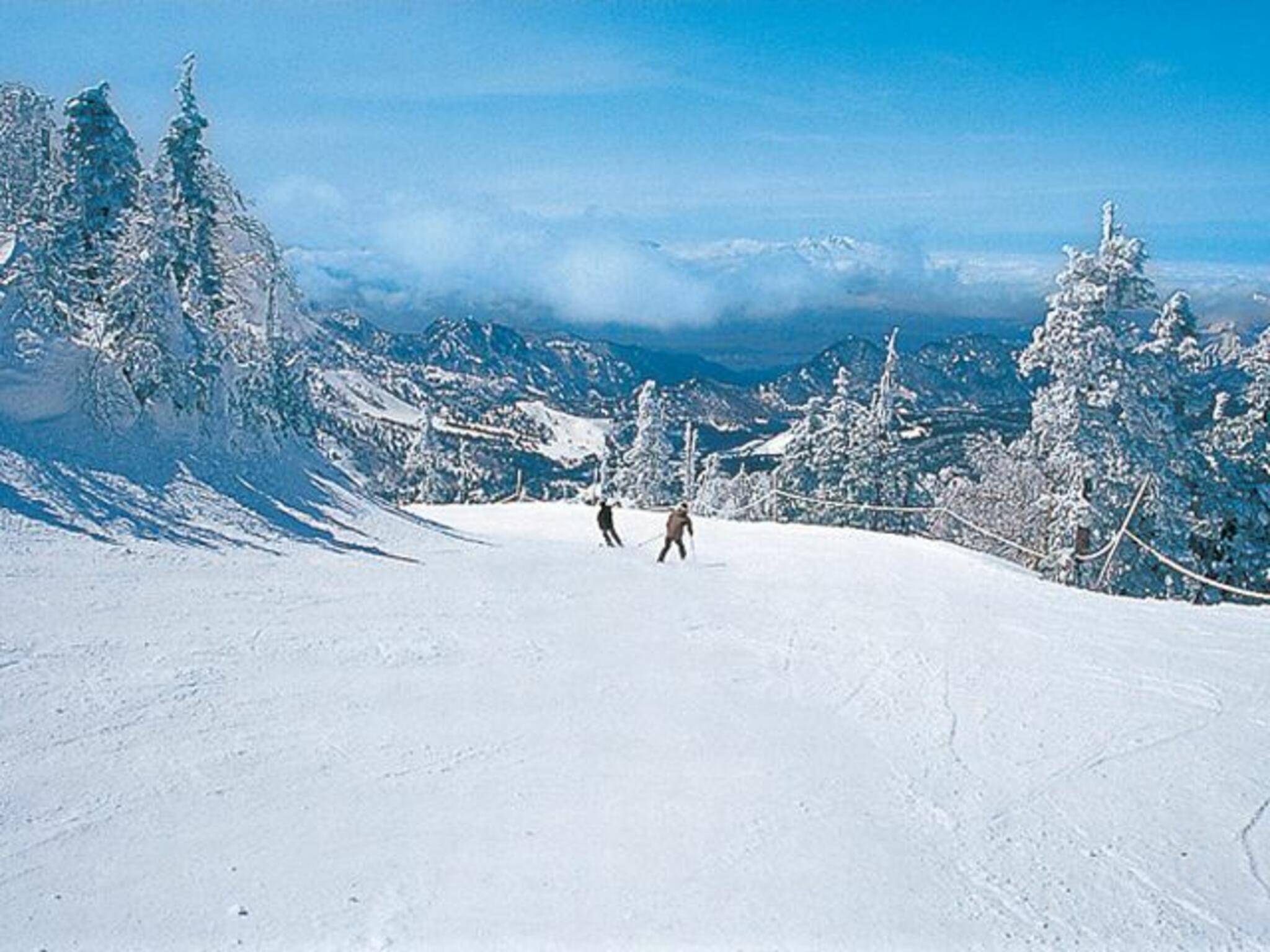 横手山・渋峠スキー場の代表写真7