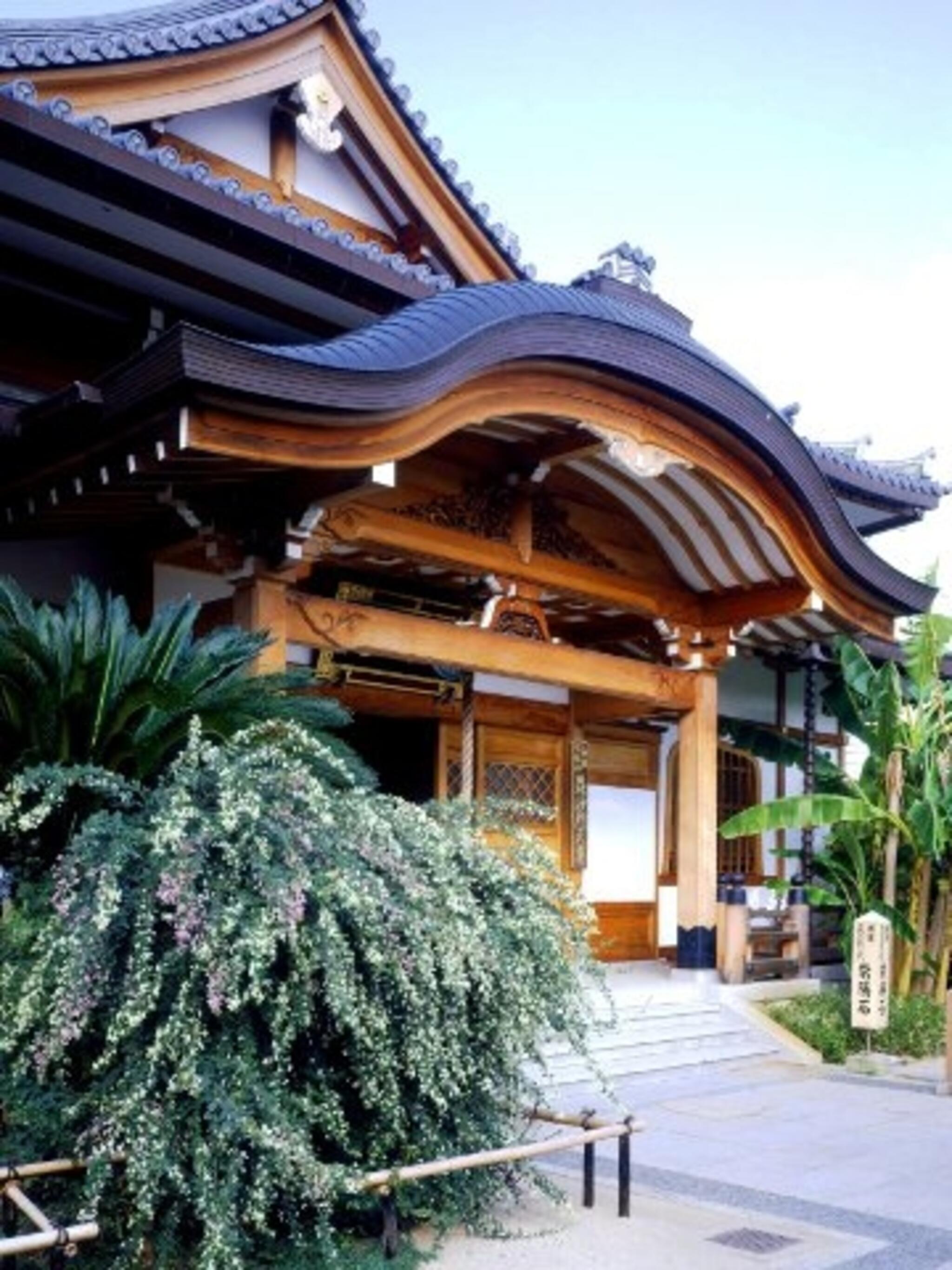 萩の寺東光院の代表写真4