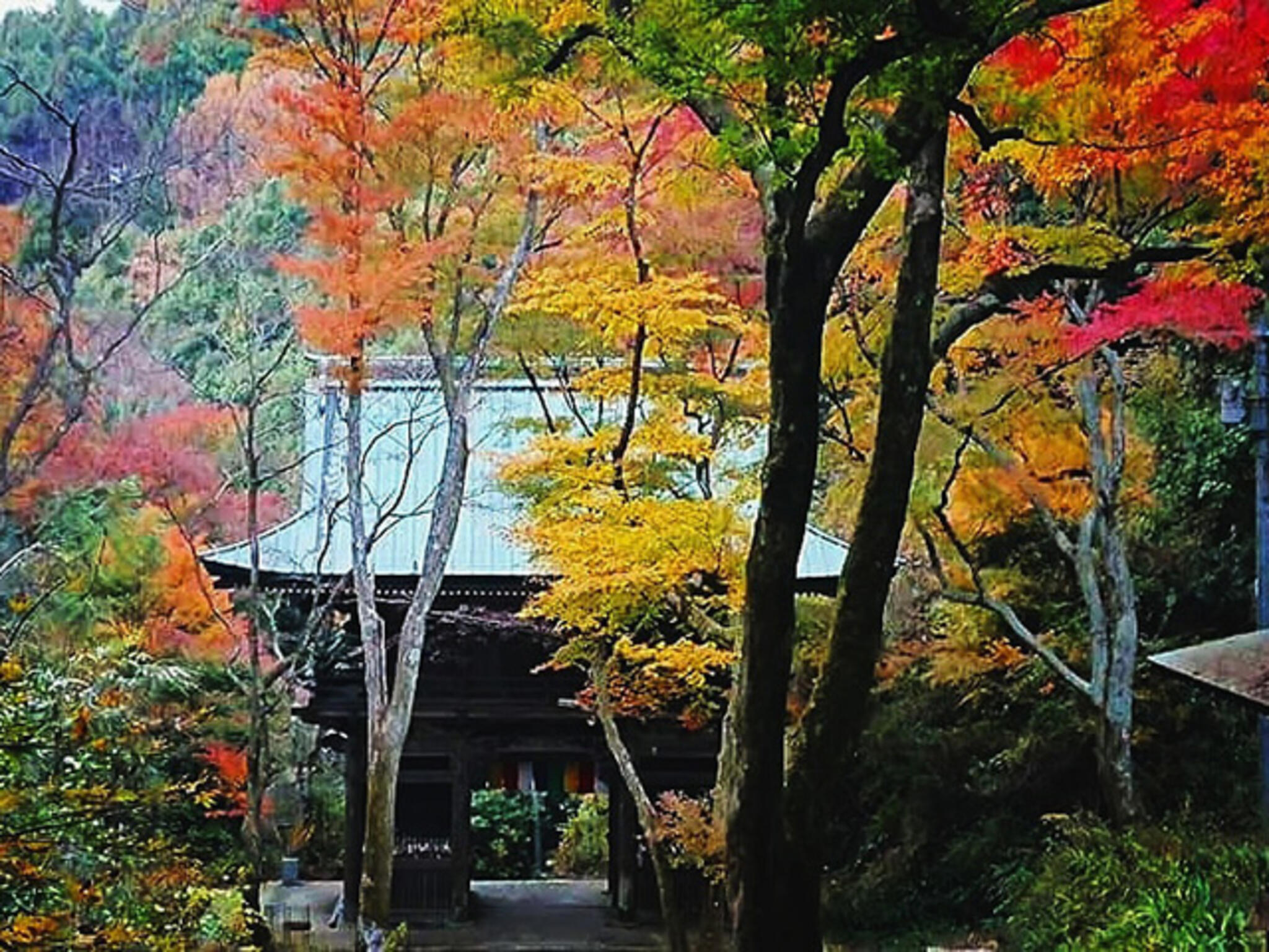 施福寺の代表写真5