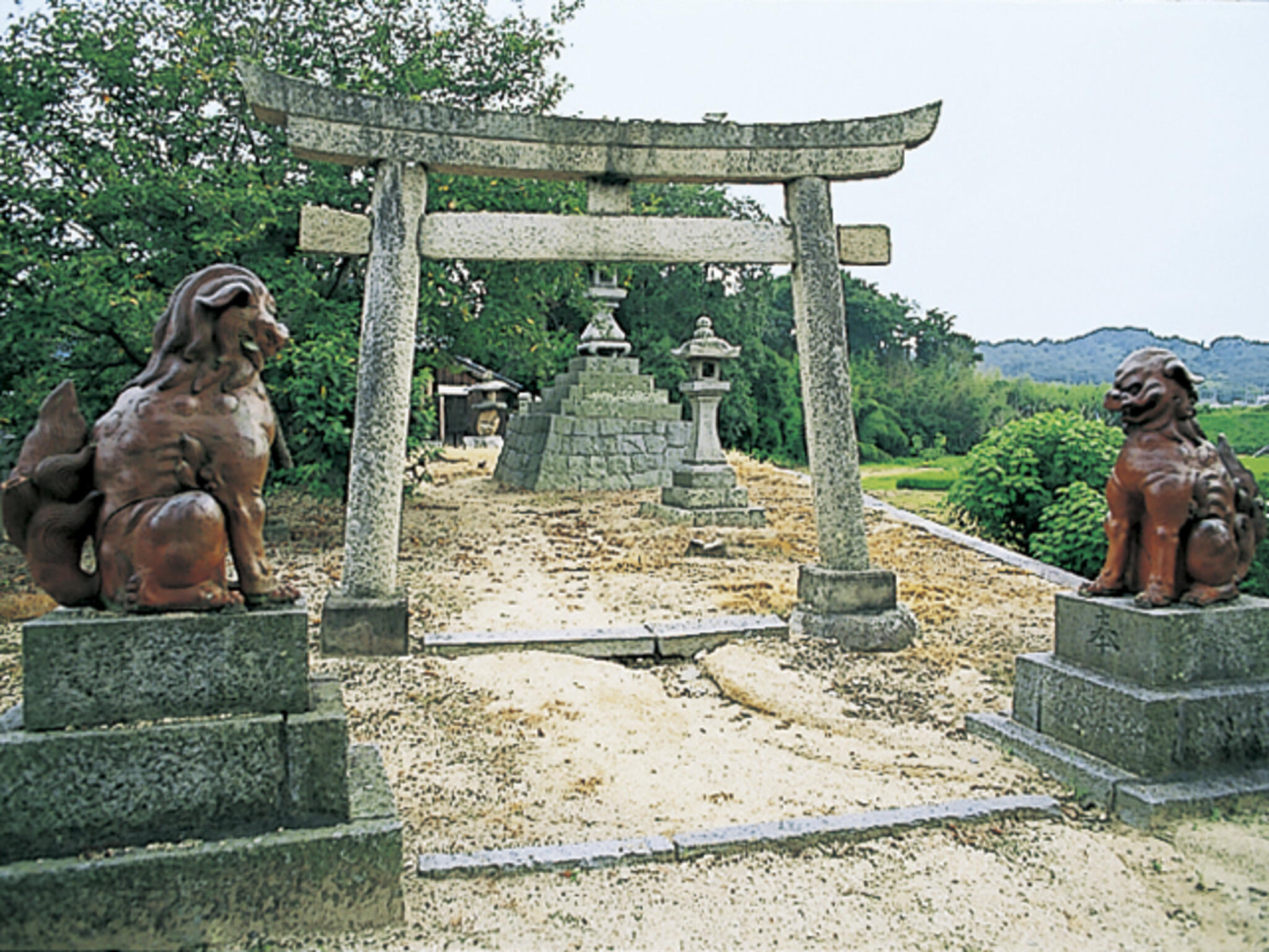 鯉喰神社の代表写真3