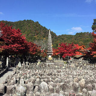 あだし野念仏寺 - 京都市右京区嵯峨鳥居本化野町/寺院 | Yahoo!マップ