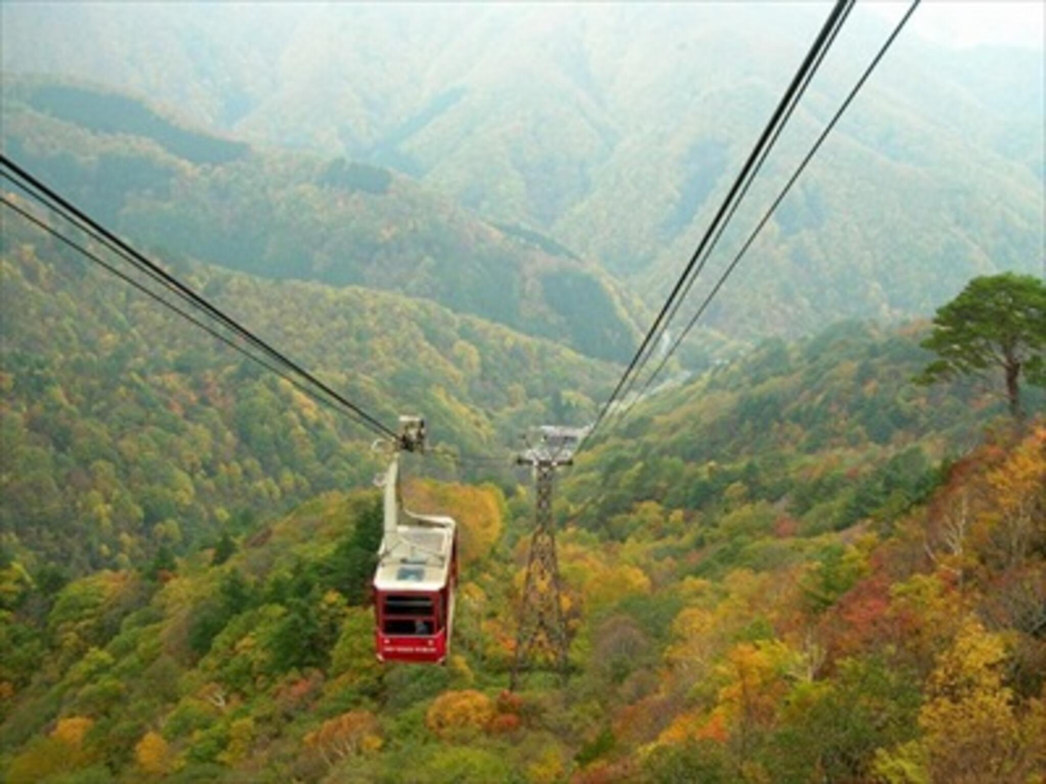 天元台高原の代表写真3
