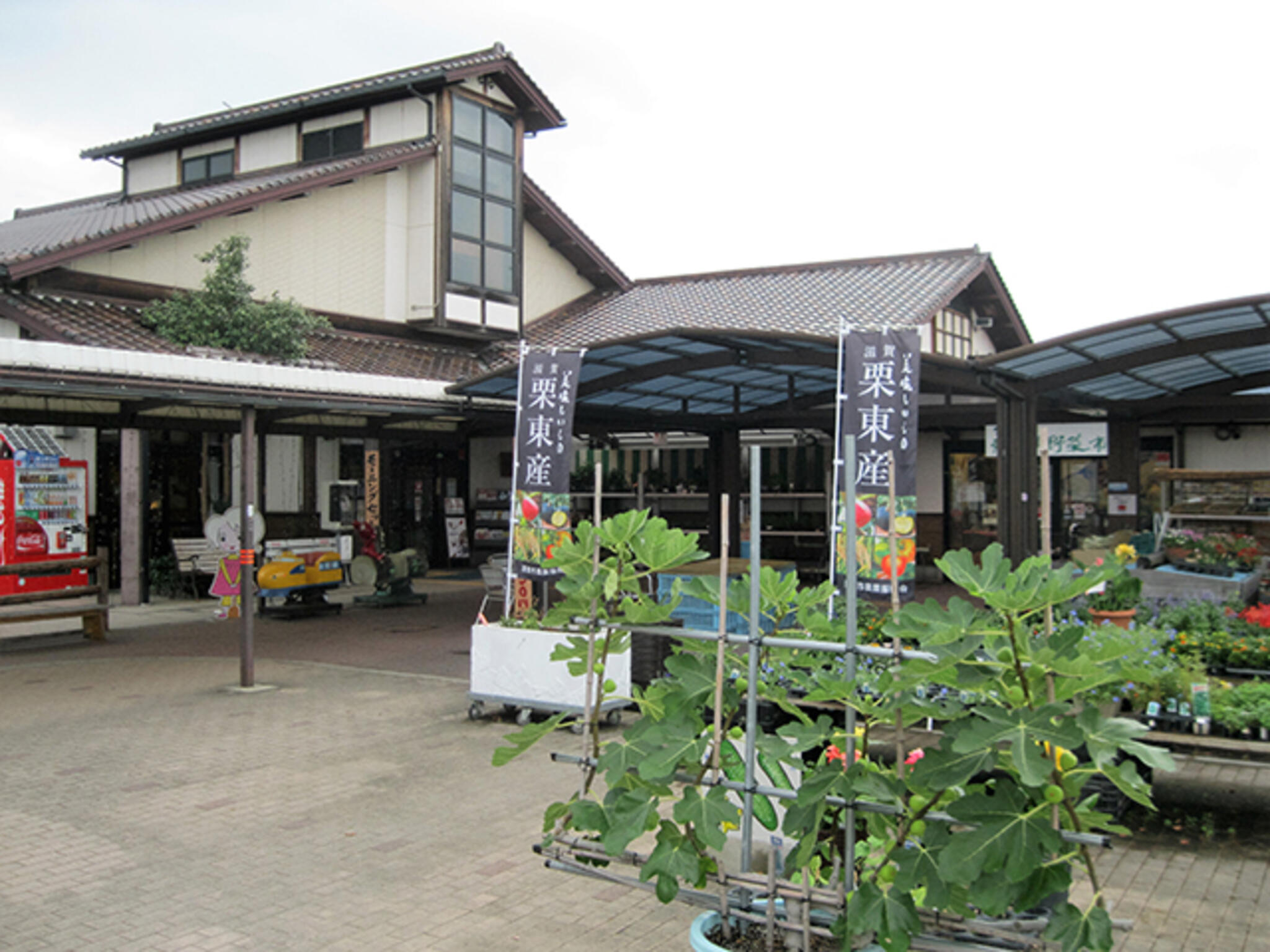道の駅 アグリの郷栗東(関西広域連合域内直売所)の代表写真9
