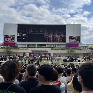 JRA 阪神競馬場の写真10