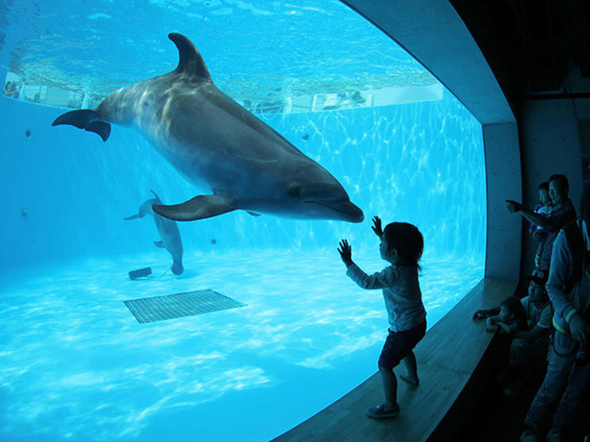 九十九島水族館海きららの代表写真8