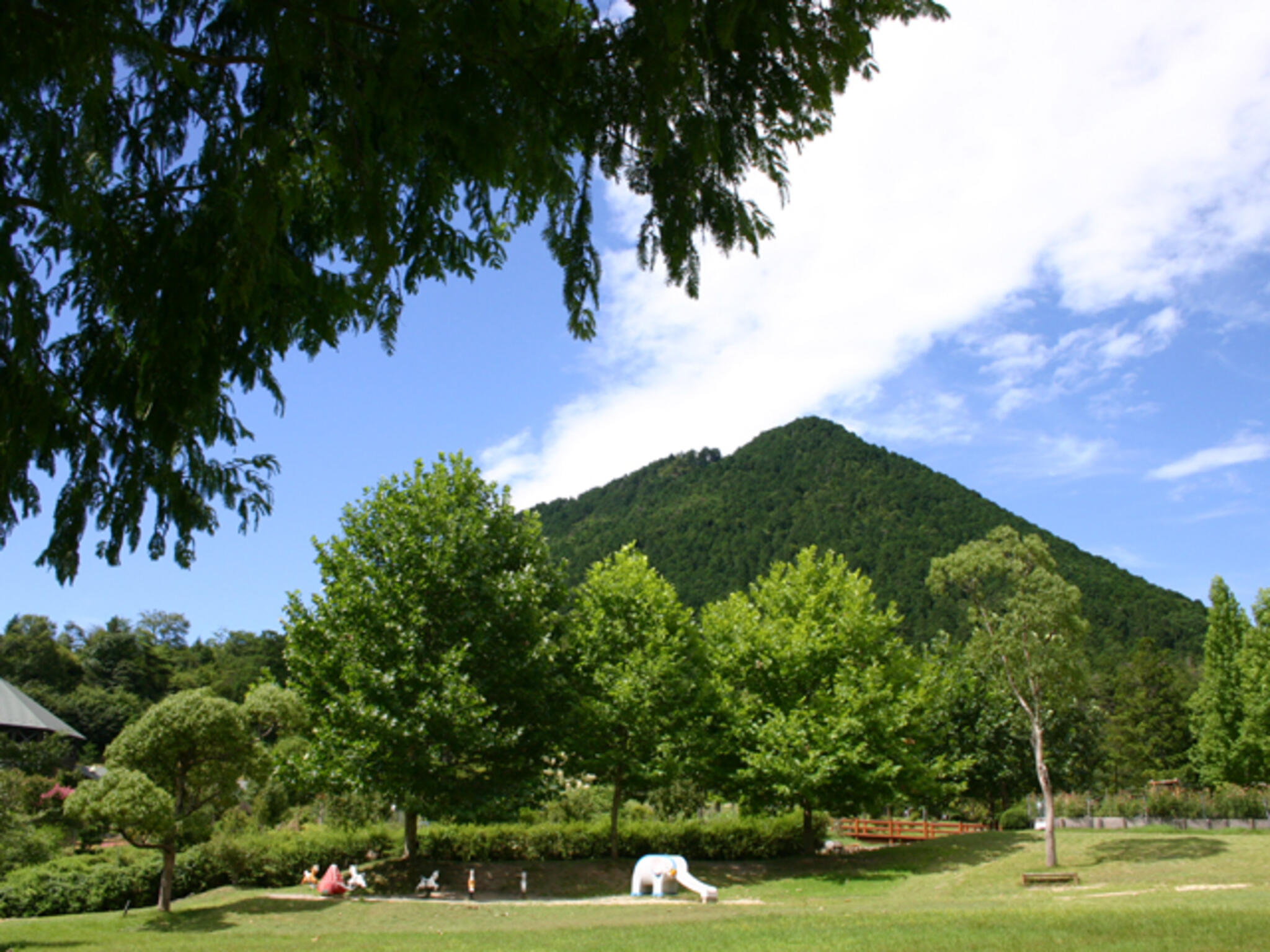 滋賀県立近江富士花緑公園の代表写真6