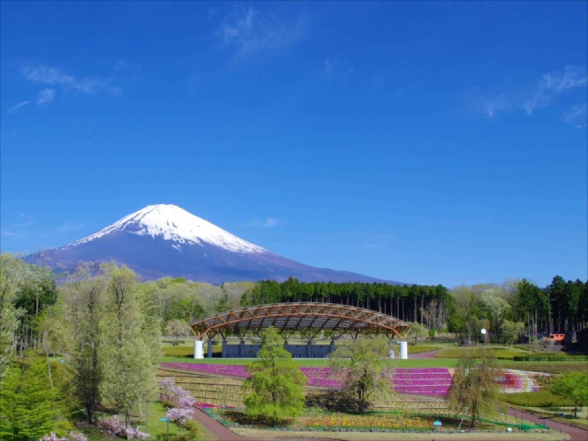 富士山樹空の森の代表写真9