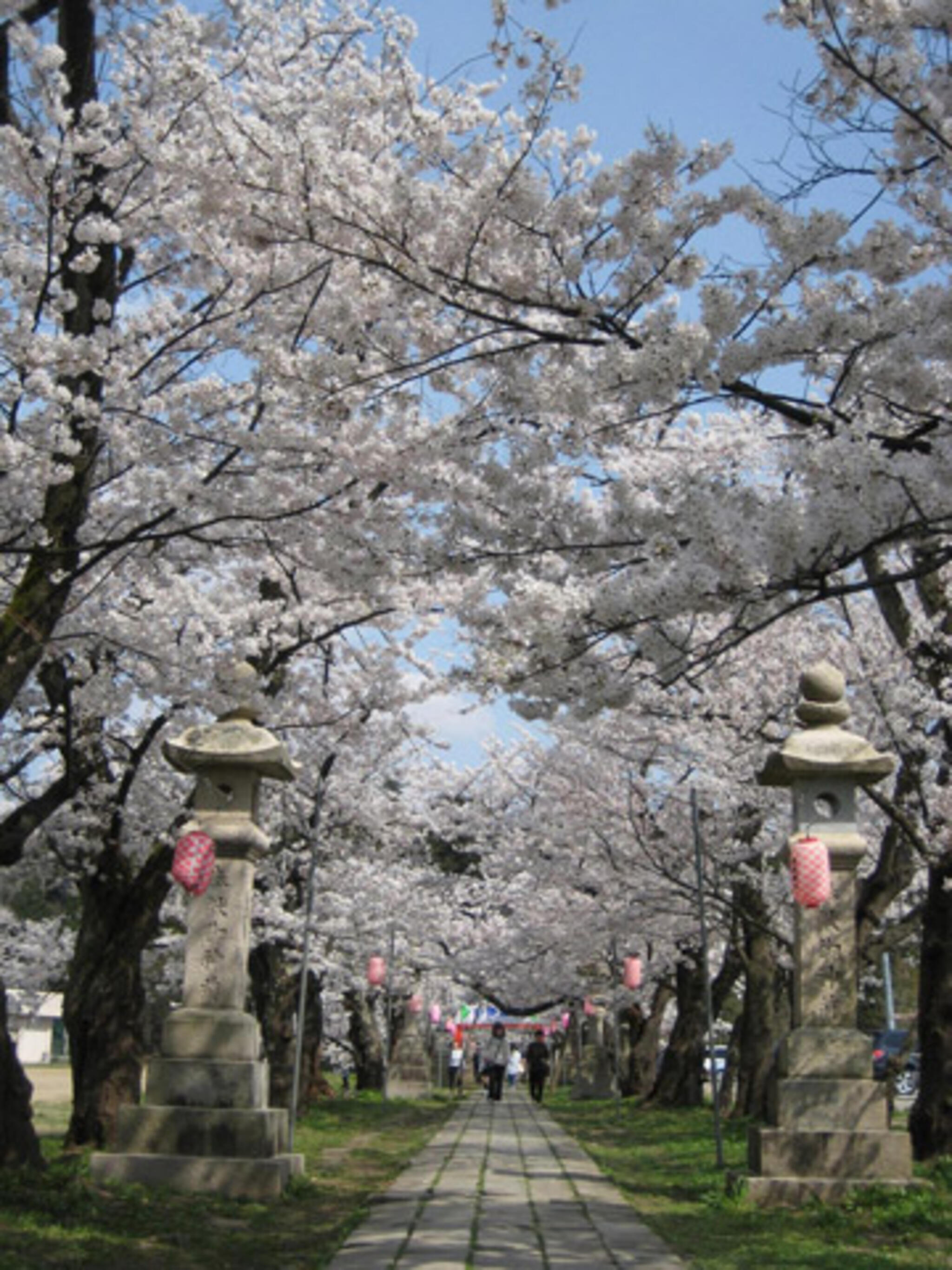 悠久山公園の代表写真9