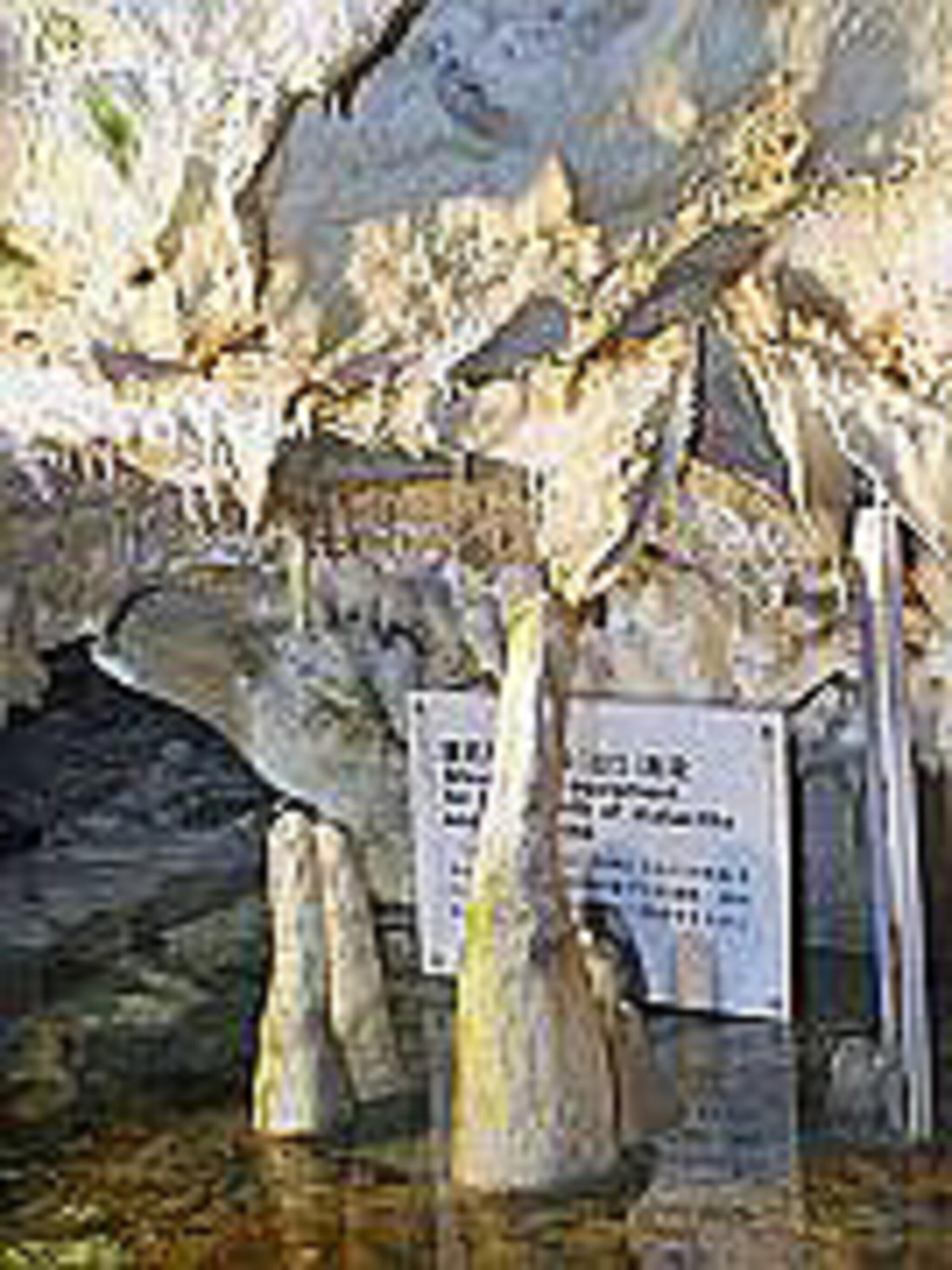 龍泉新洞科学館の代表写真2