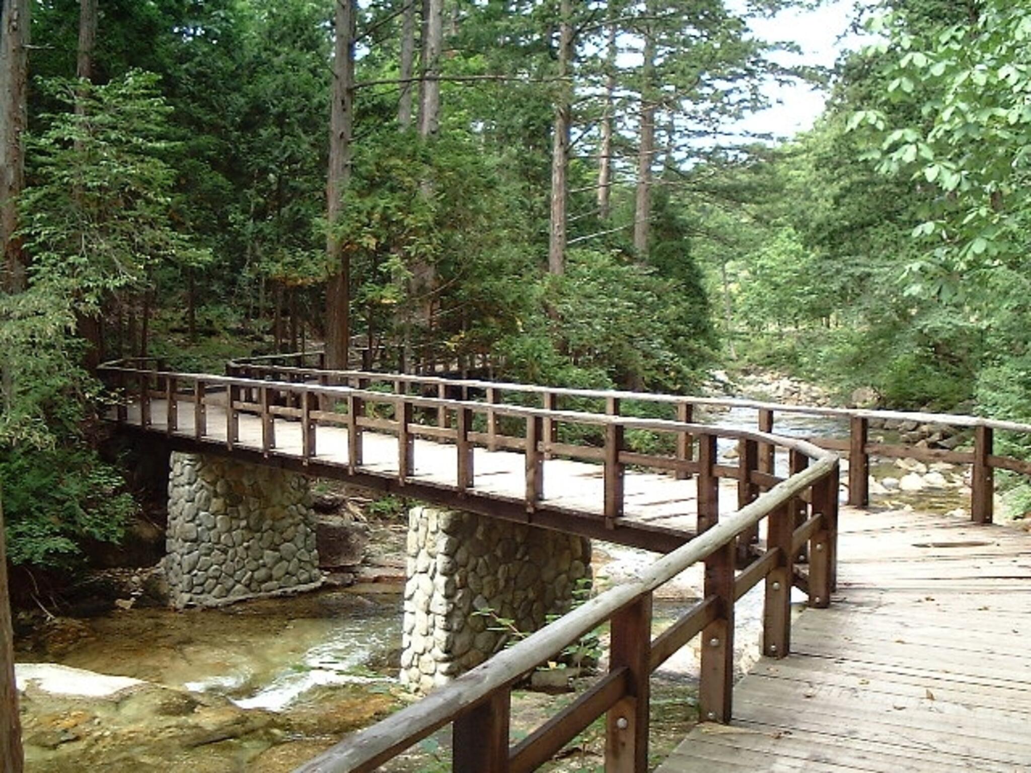 赤沢自然休養林の代表写真3