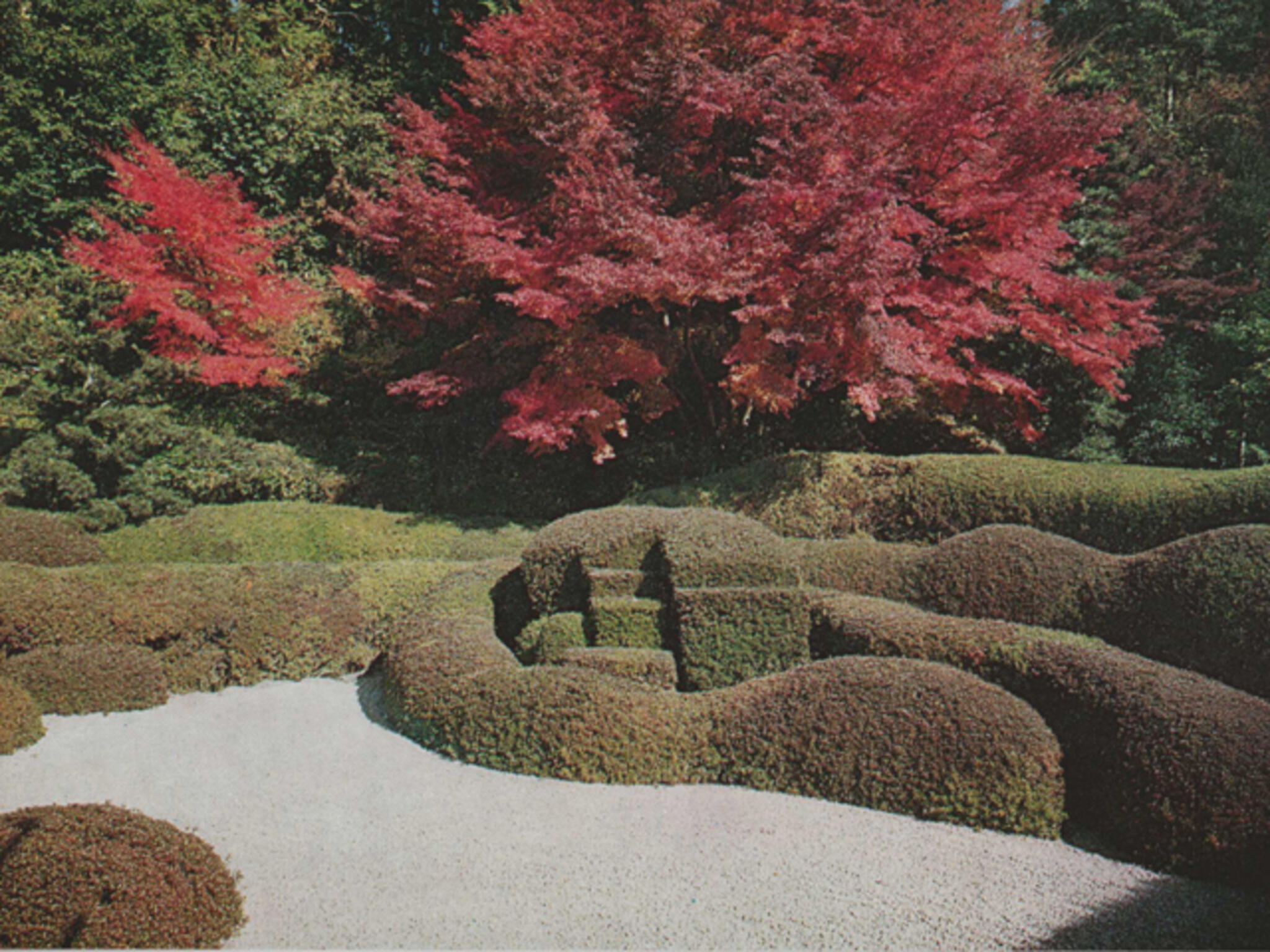 大池寺の代表写真5