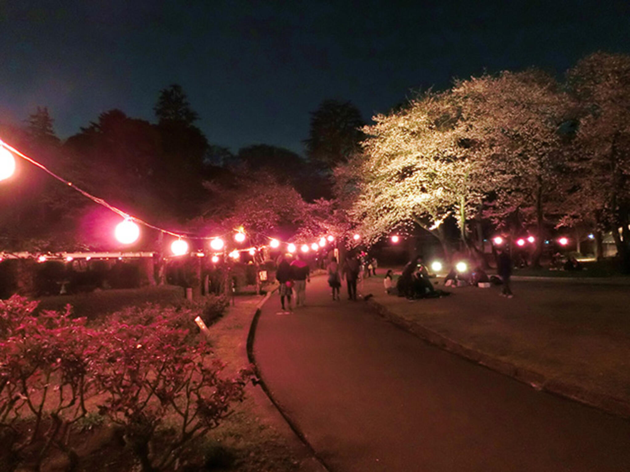 里見公園の代表写真5