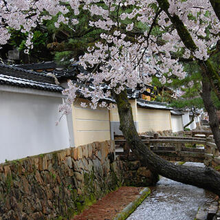 竹田寺町通りの写真5