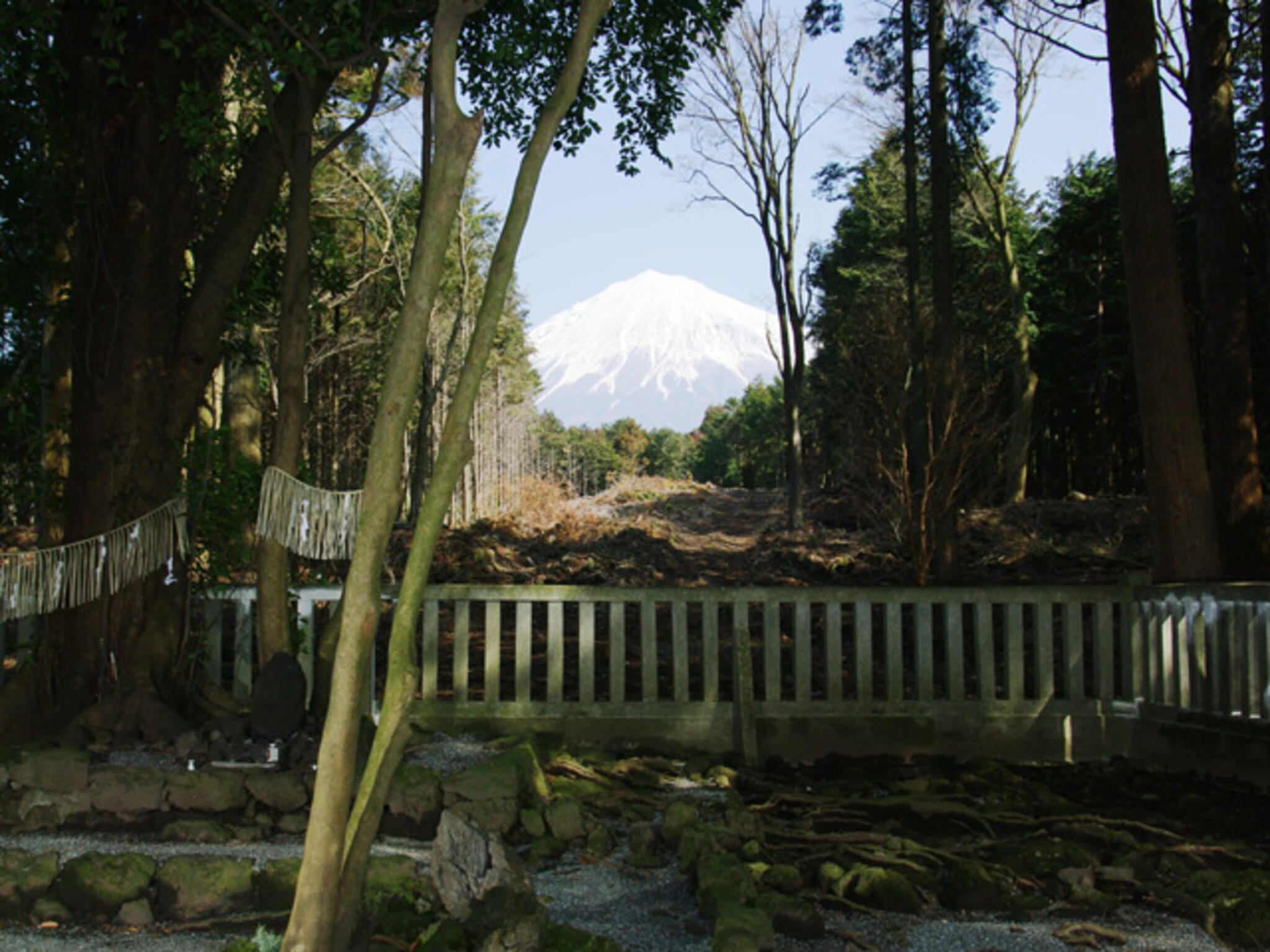 山宮浅間神社の代表写真2