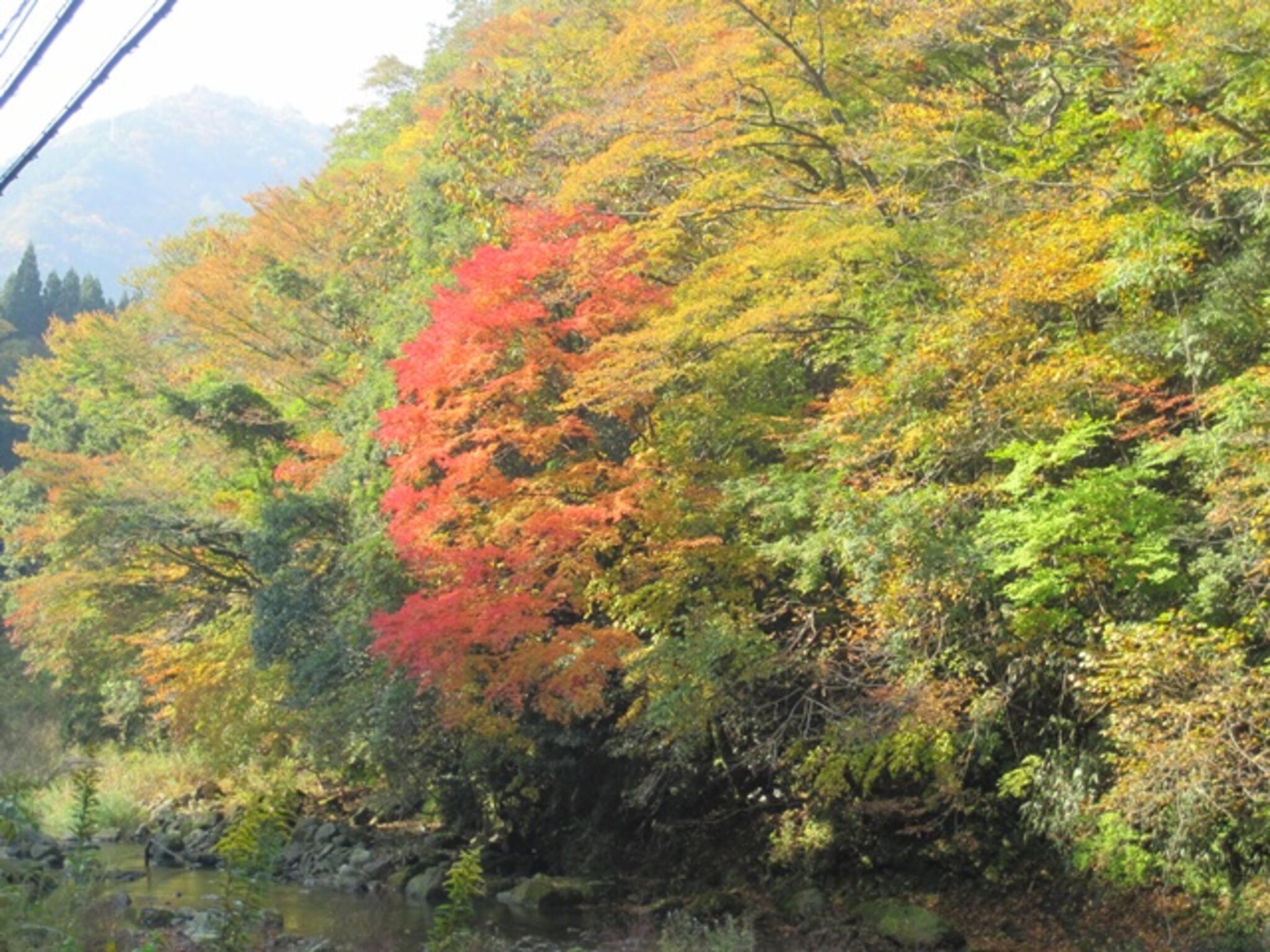 イベント 五ヶ瀬渓谷 西臼杵郡五ヶ瀬町大字鞍岡/紅葉スポット Yahoo!マップ