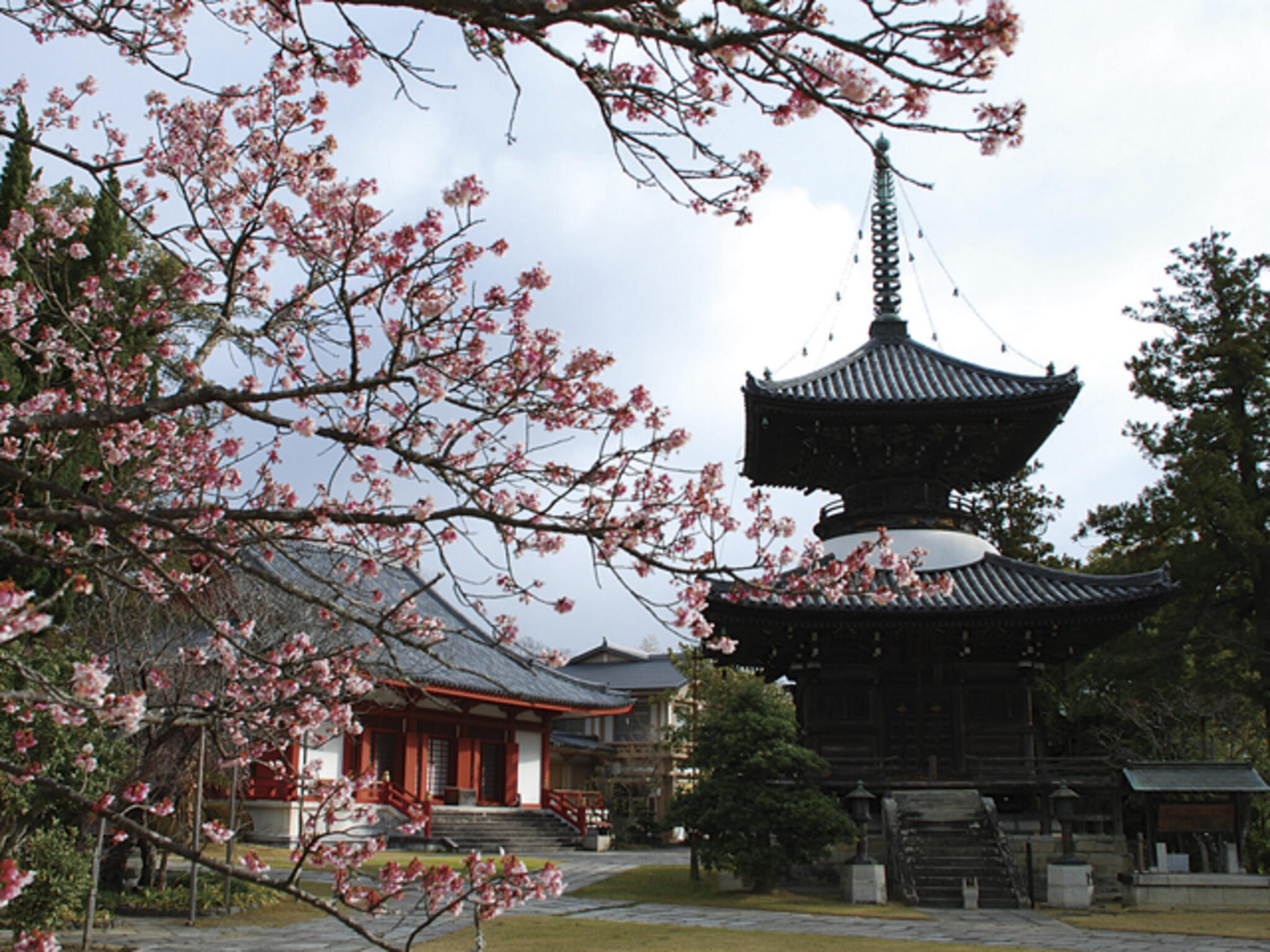 高山寺の代表写真3