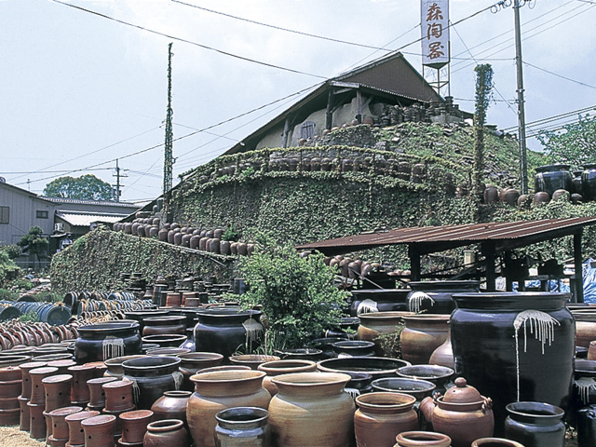 大谷焼窯元森陶器の代表写真2