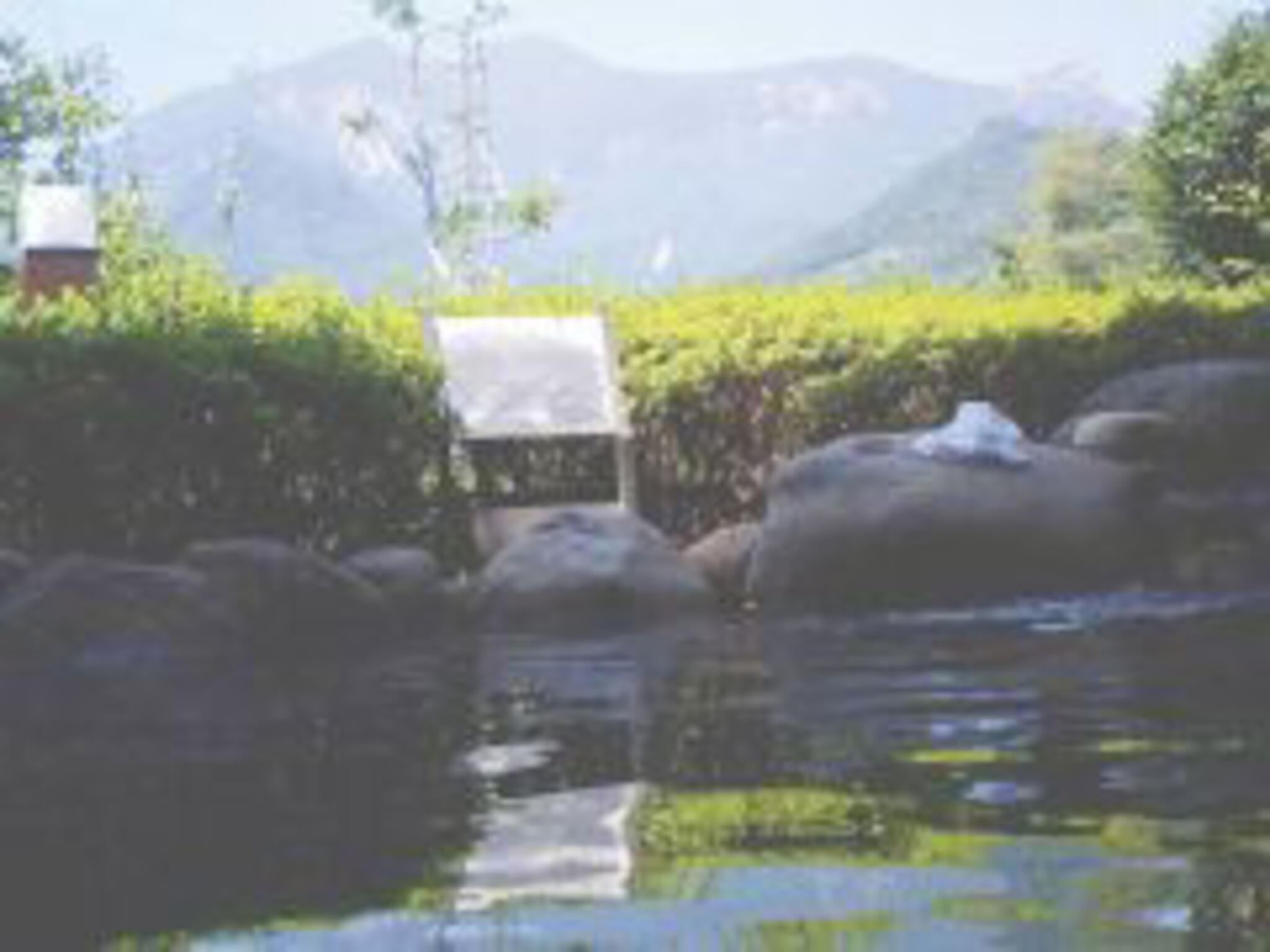 祝子川温泉 美人の湯の代表写真4