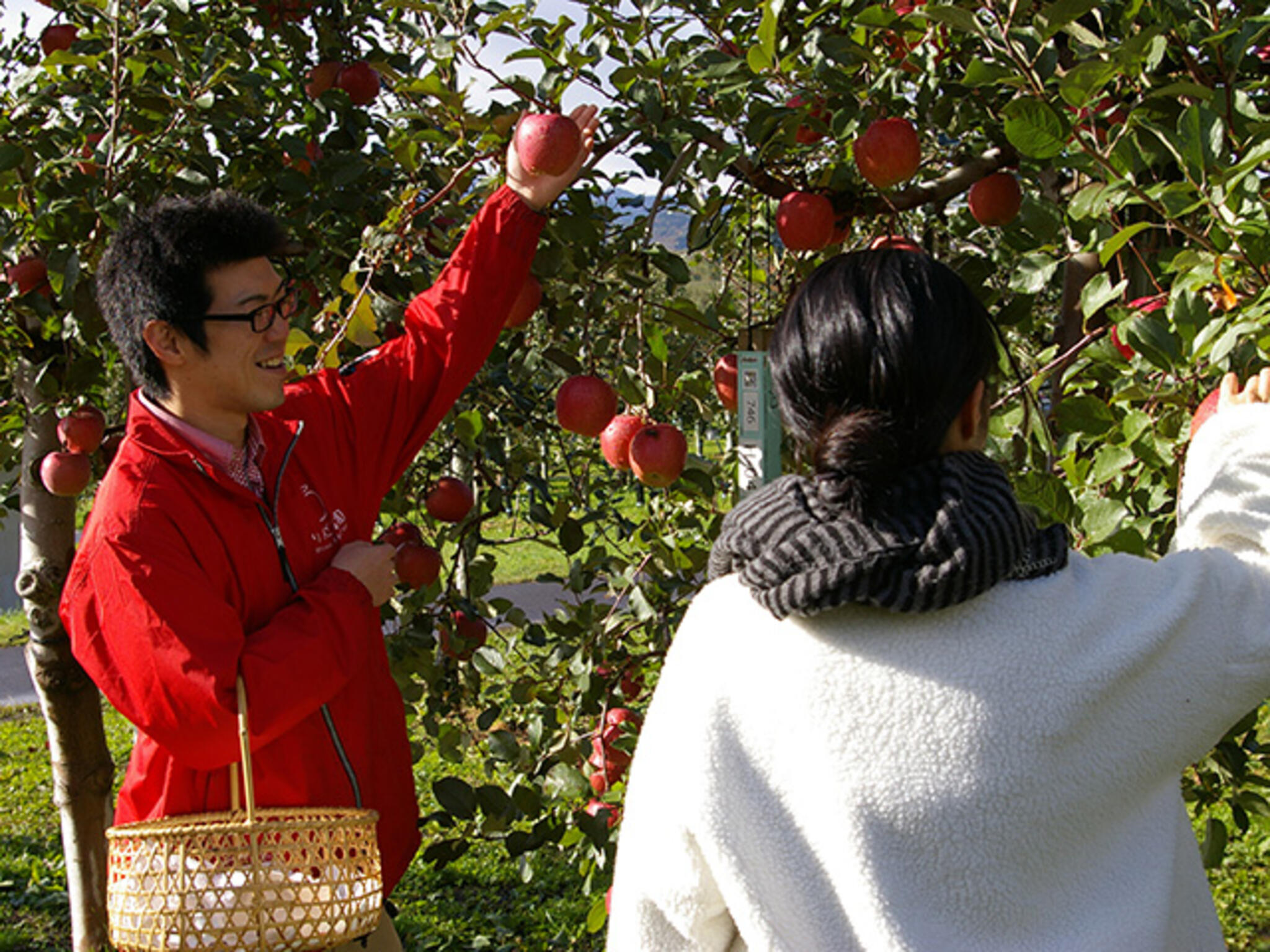弘前市りんご公園の代表写真10
