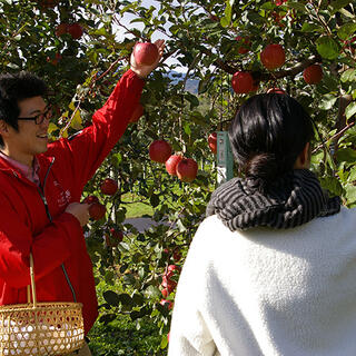 弘前市りんご公園の写真10